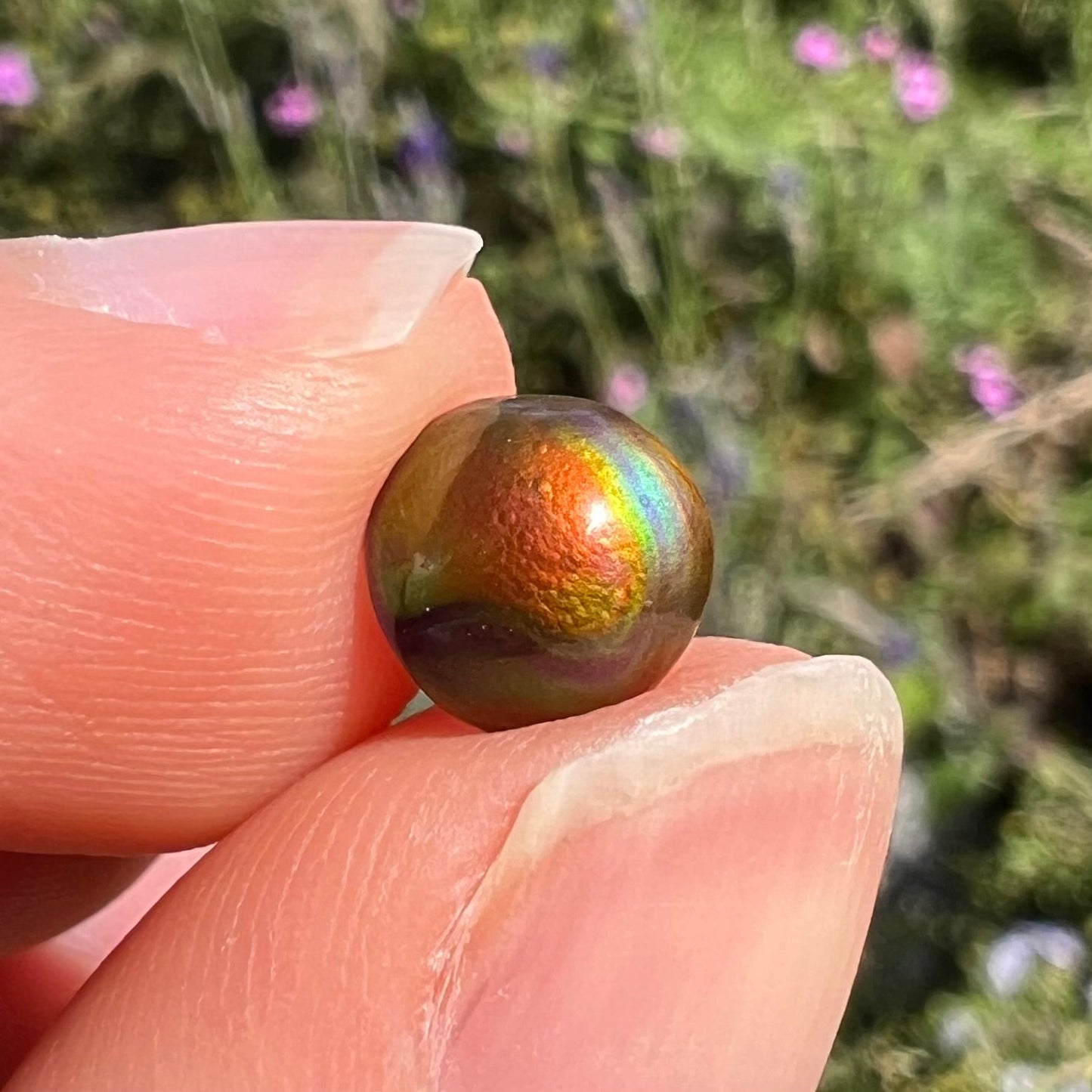 A 1.69ct round cabochon cut Mexican fire agate stone. The stone is red with purple and green swirls.