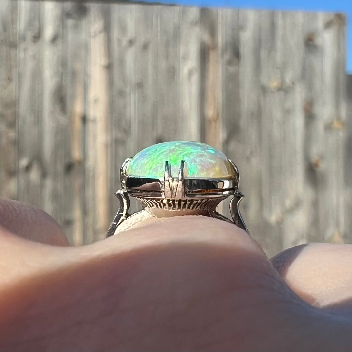 Gallery view of a 1950's-style platinum opal ring. The opal shines green colors.