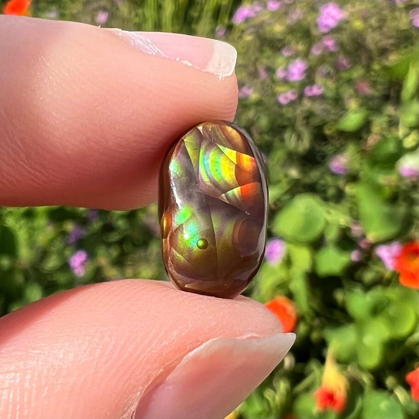 A loose, oval cabochon cut Mexican fire agate stone. The stone has multi-colored banding with blue overtones.