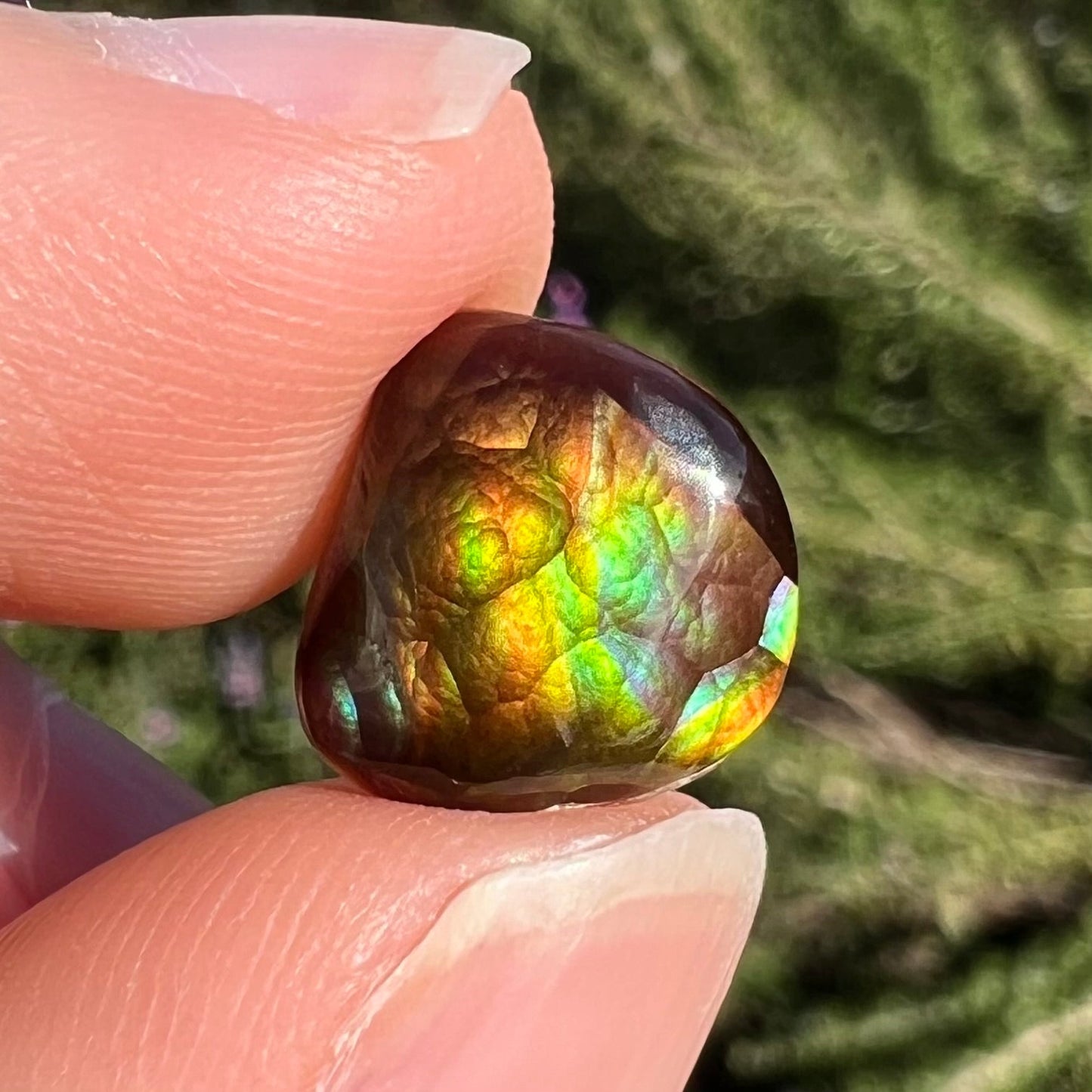 A freeform cabochon cut Mexican fire agate stone. The stone has a bright purple flash with green, yellow, and orange.