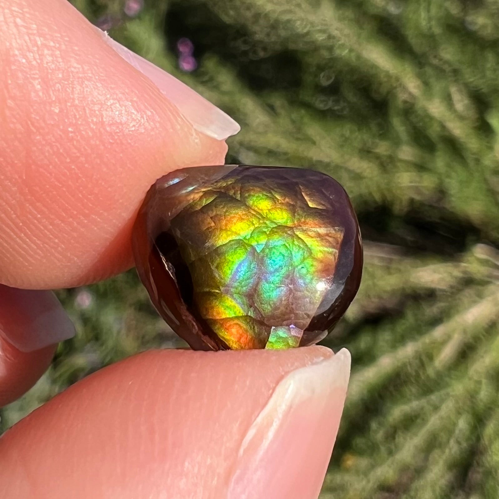 A freeform cabochon cut Mexican fire agate stone.  The stone has a bright purple flash with green, yellow, and orange.