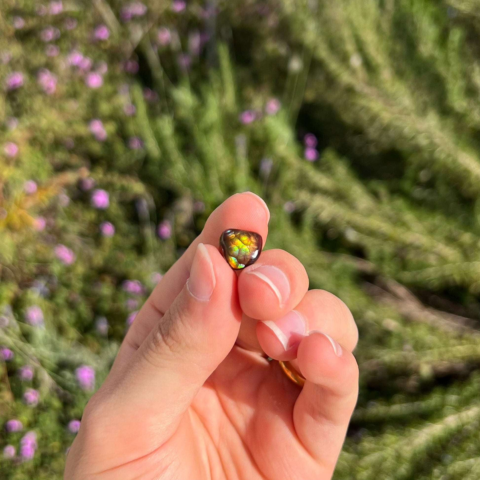 A freeform cabochon cut Mexican fire agate stone.  The stone has a bright purple flash with green, yellow, and orange.