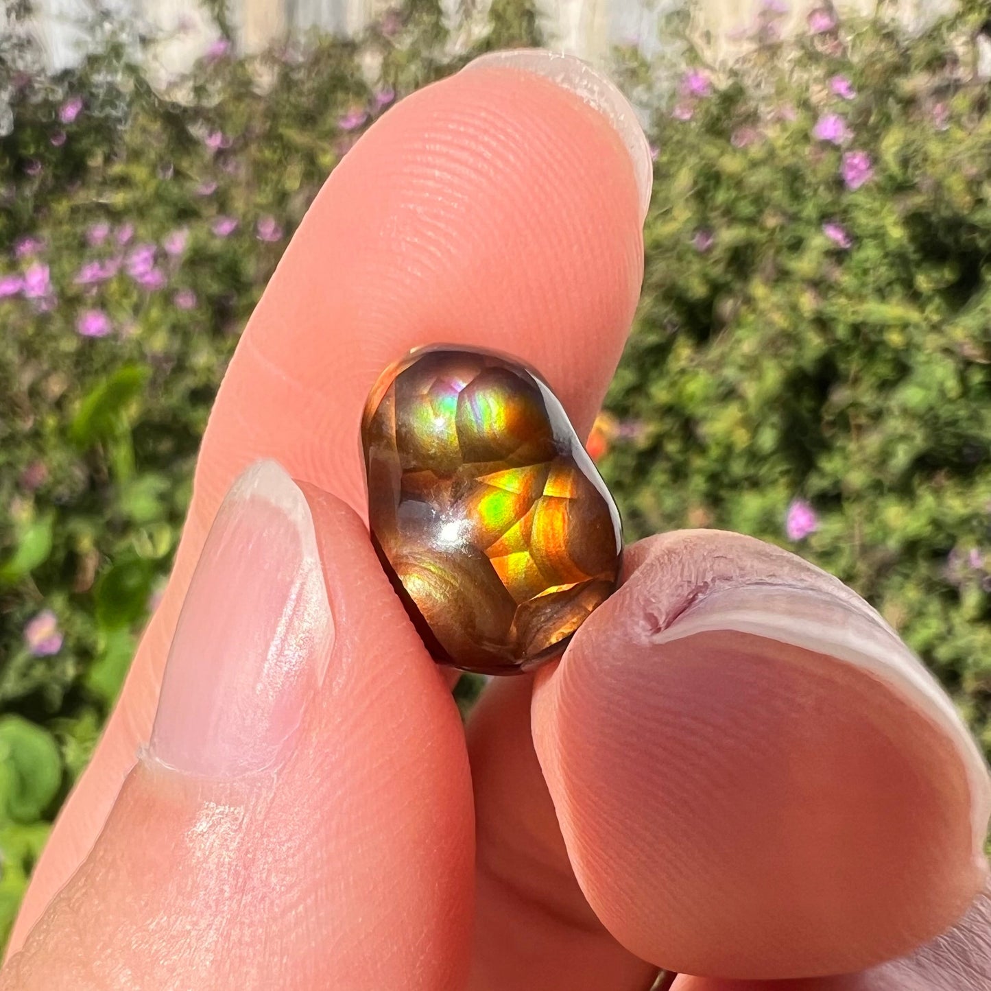 A loose, freefrom cabochon cut Mexican fire agate stone. The stone has red, green, yellow, and purple banding.