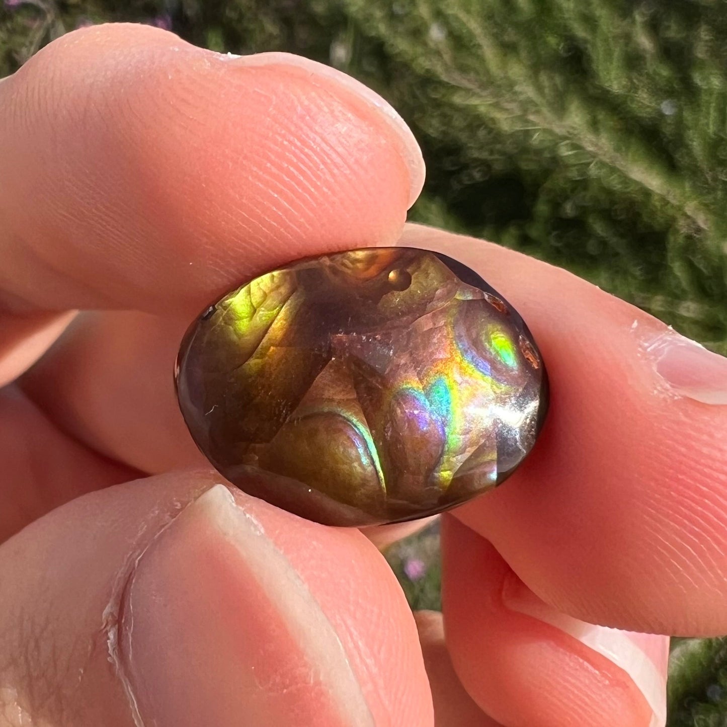 A loose, oval cabochon cut Mexican fire agate stone with pink, orange, and purple banding.