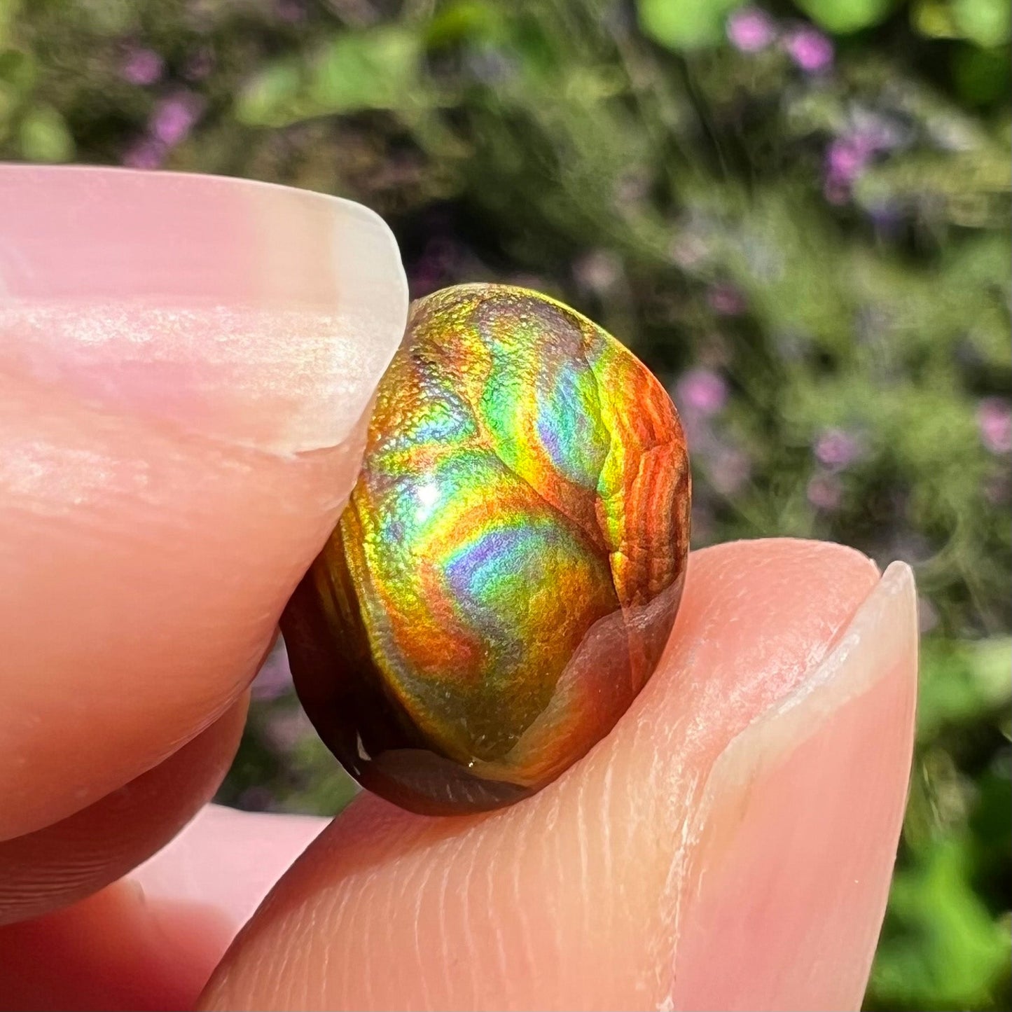 A loose, oval cabochon cut Mexican fire agate stone. The gem is iridescent with every color of the rainbow.