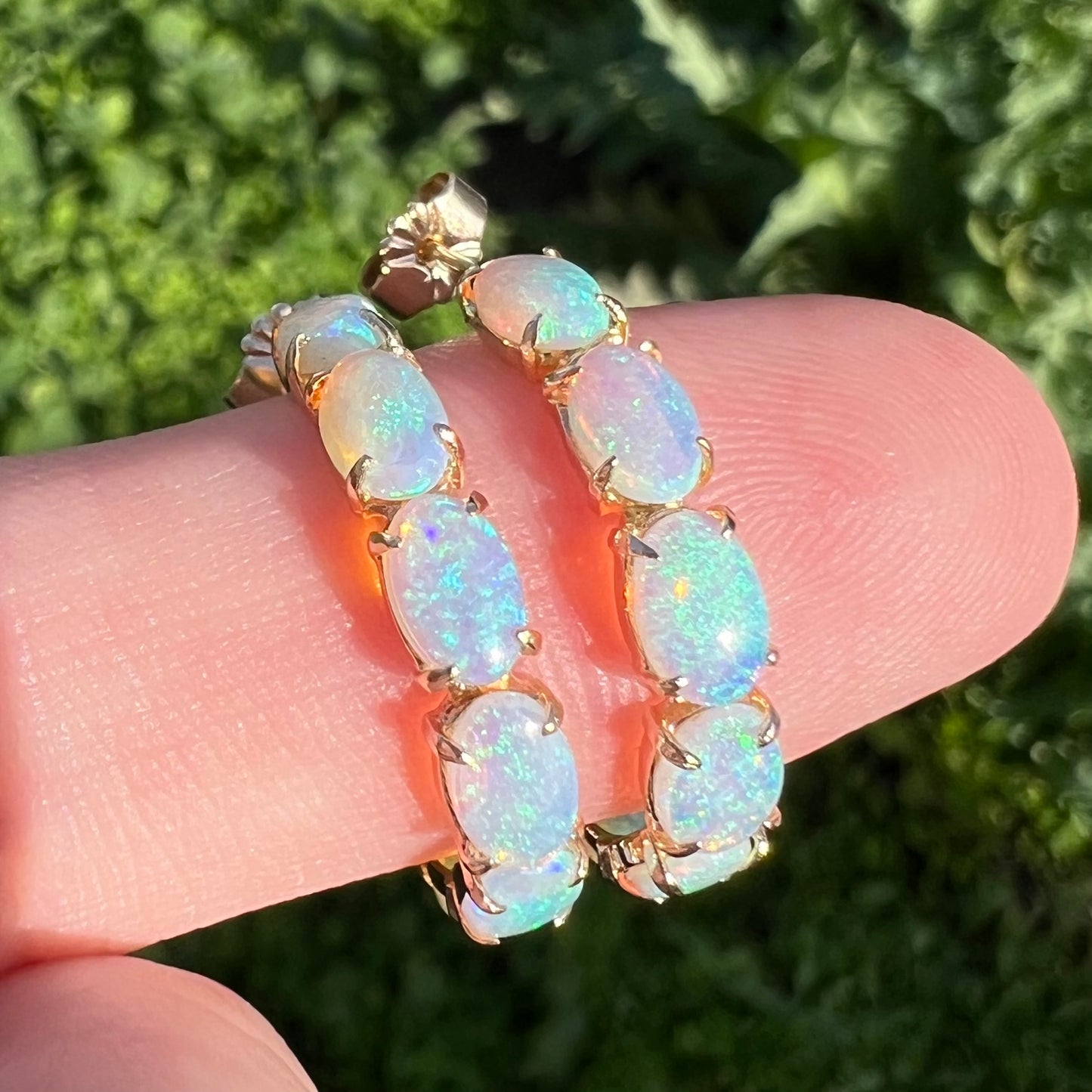 Angled macro of semi-hoop opals in sunlight showing gentle blue and green hues.
