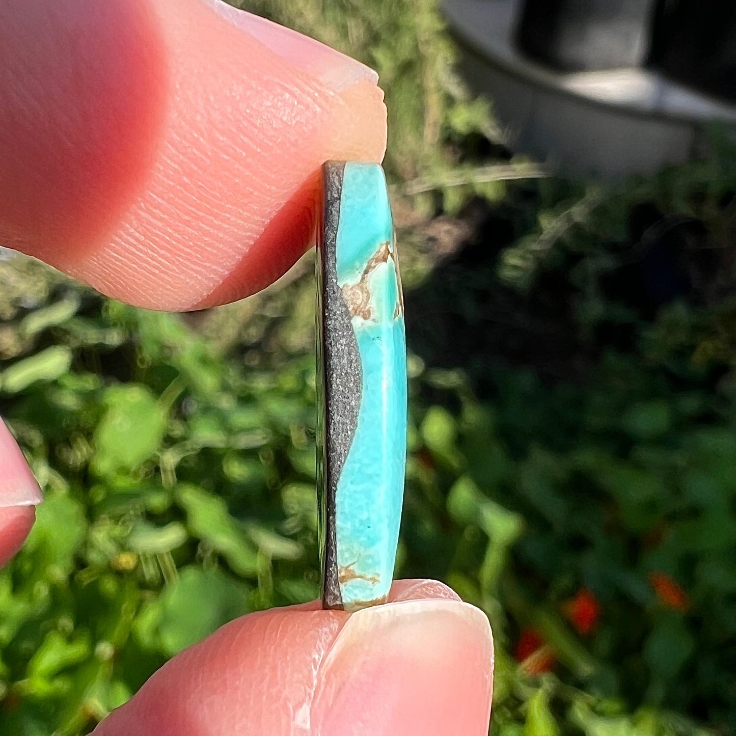 A loose pilot mountain turquoise cabochon. The stone is blue with brown matrix.