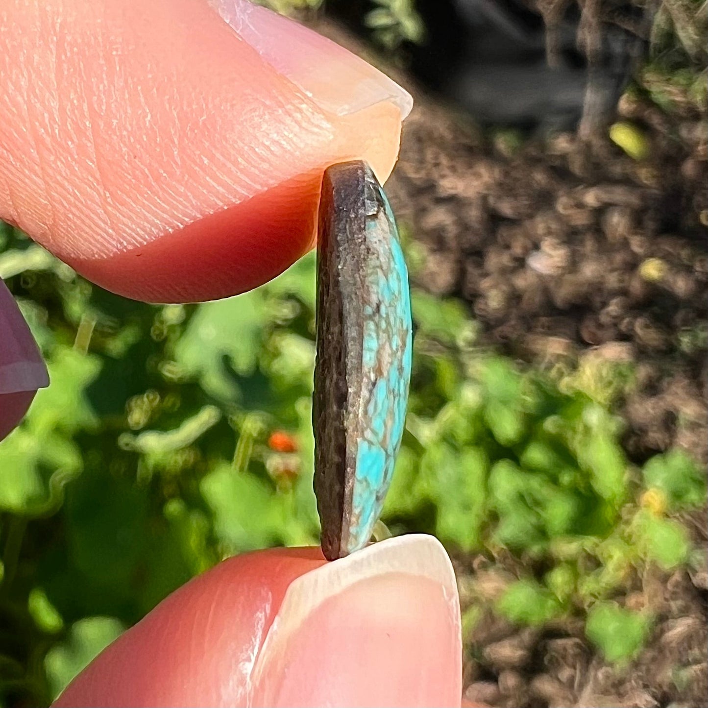 A round cabochon cut Tyrone turquoise stone from New Mexico. The stone is blue with brown, gray, and black matrix.