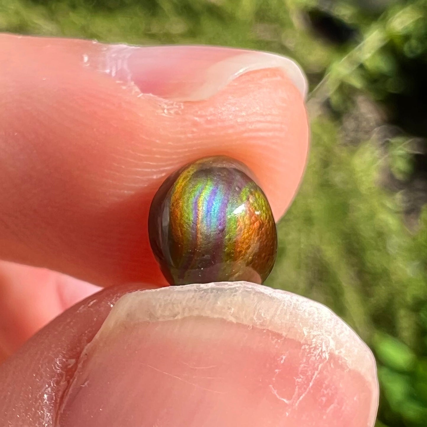 A 1.69ct round cabochon cut Mexican fire agate stone. The stone is red with purple and green swirls.