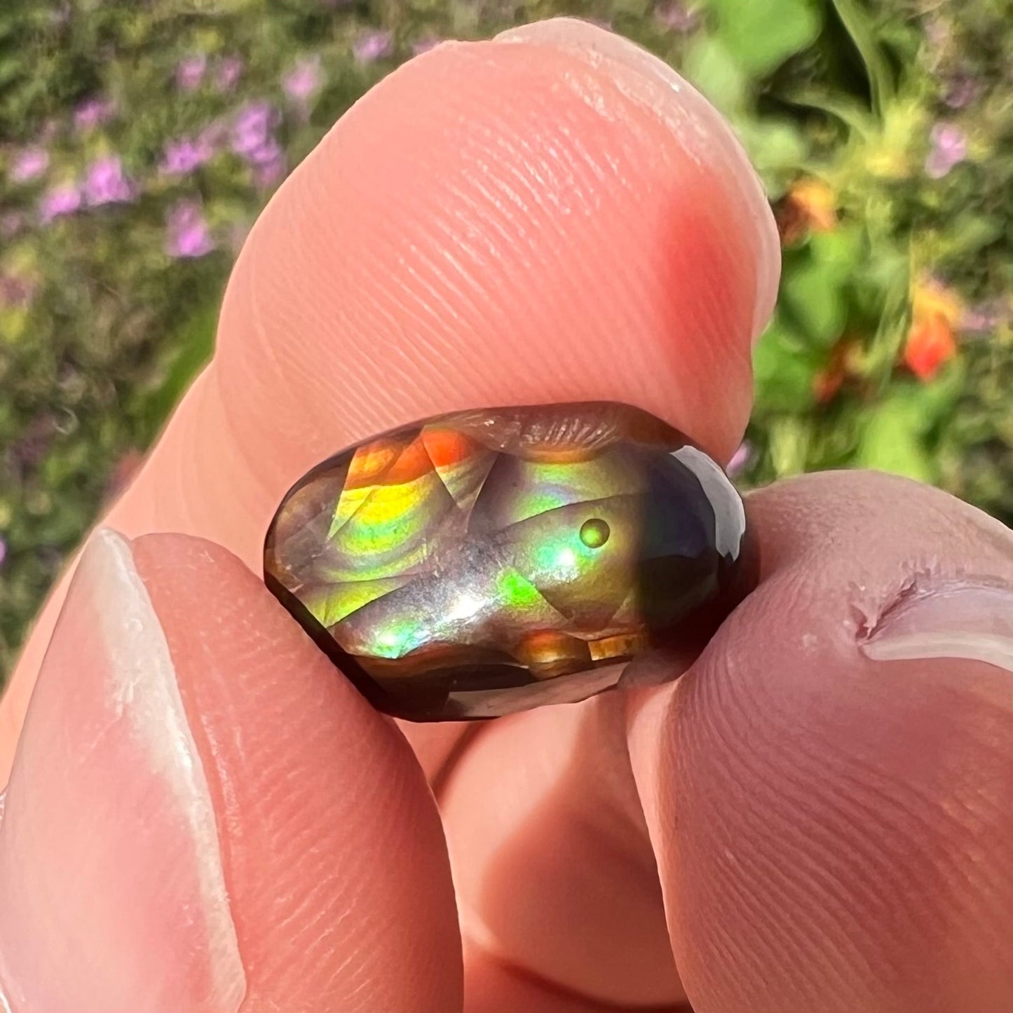 A loose, oval cabochon cut Mexican fire agate stone. The stone has multi-colored banding with blue overtones.