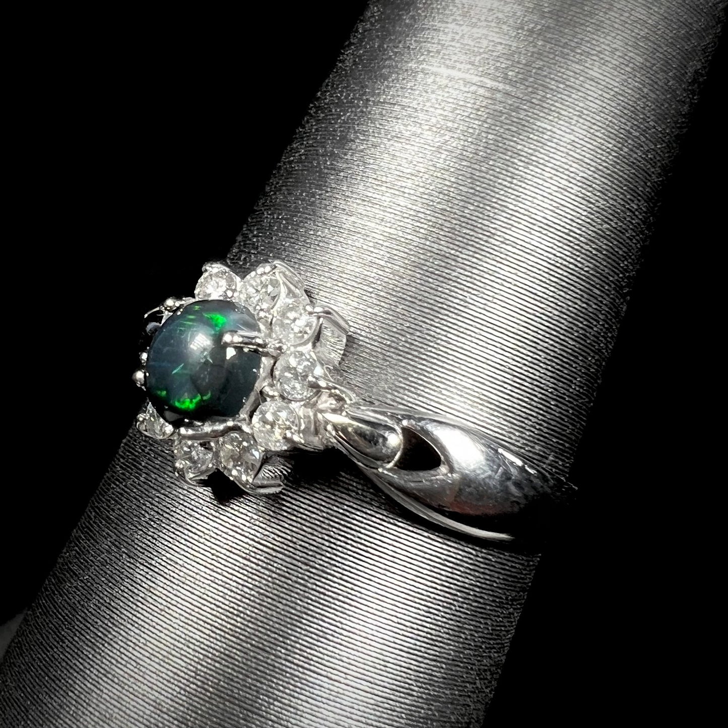 Angled view of dainty black opal and diamond halo ring in platinum showing subtle green flashes.