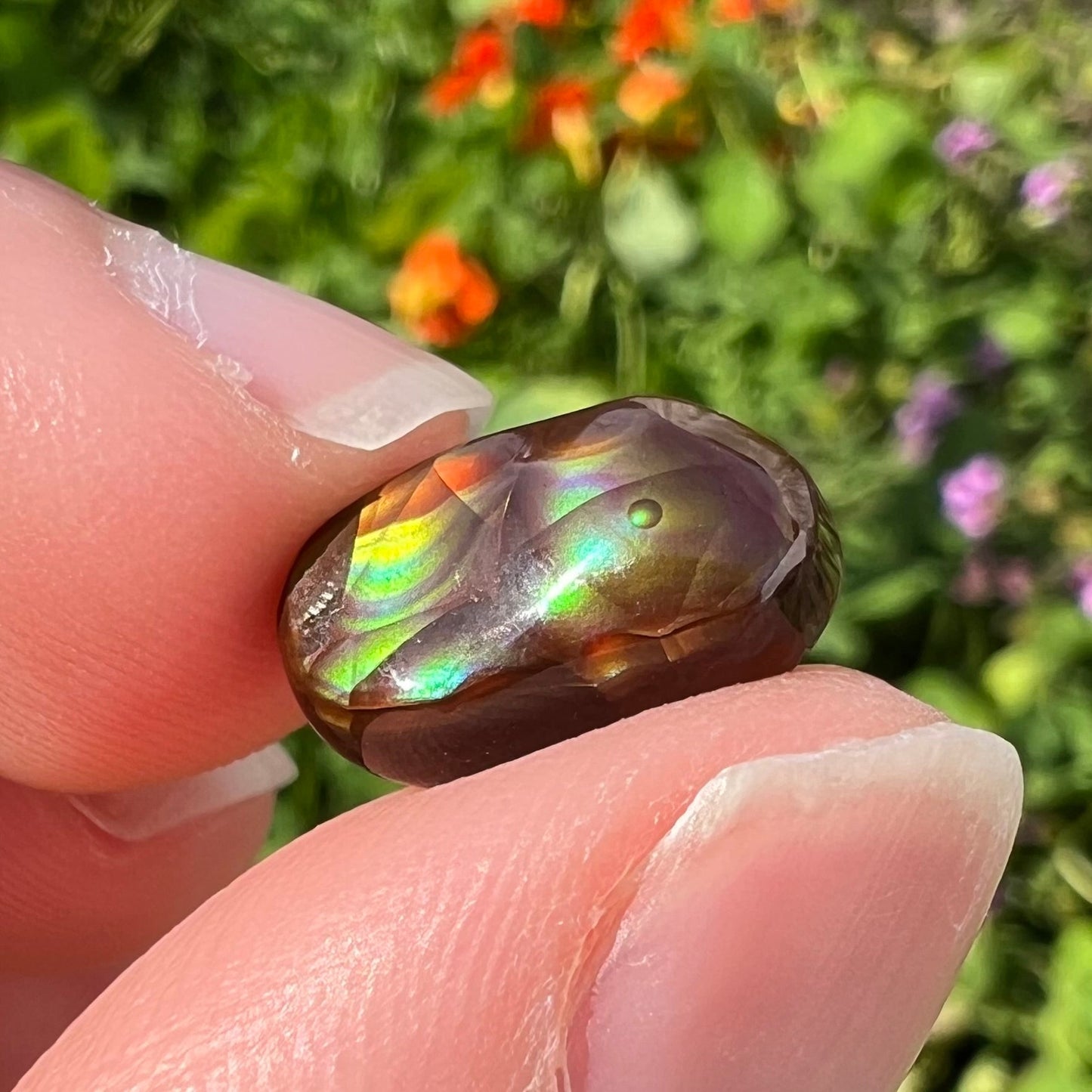 A loose, oval cabochon cut Mexican fire agate stone. The stone has multi-colored banding with blue overtones.