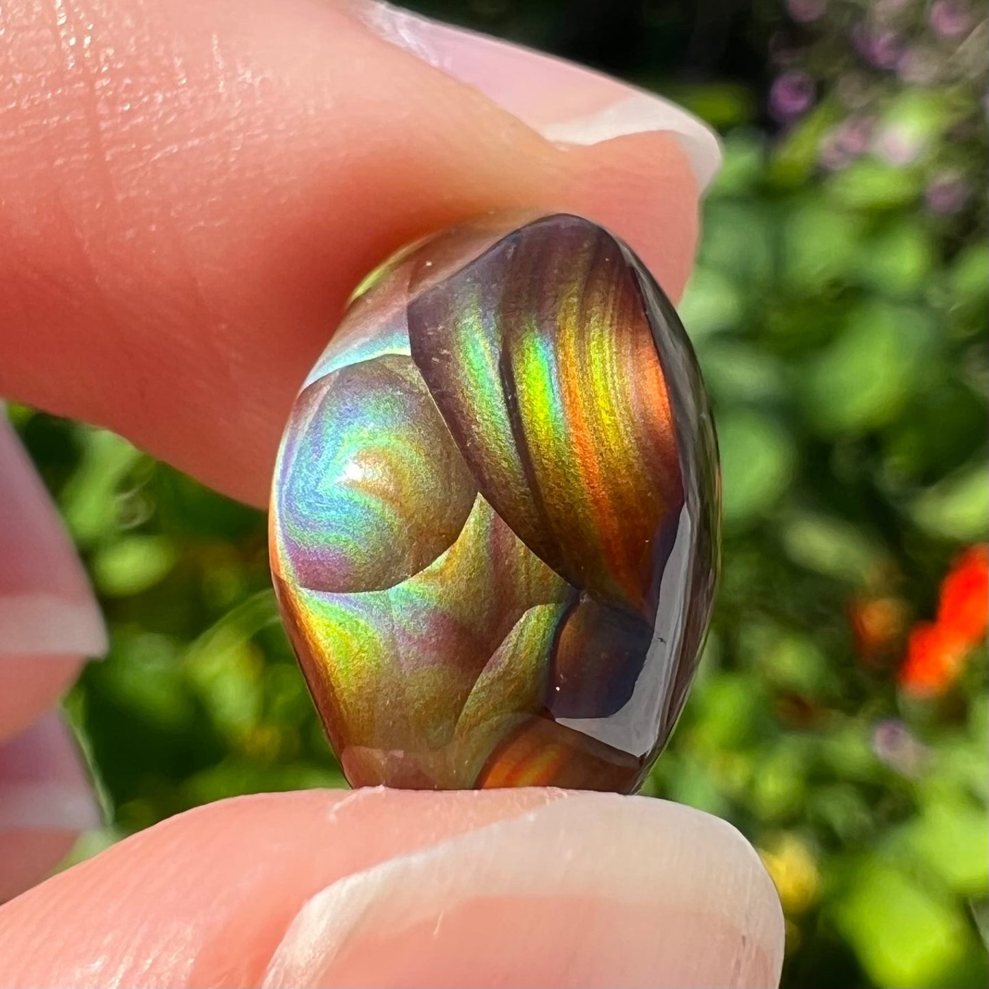 An oval cabochon cut Mexican fire agate stone.  The stone has bright, multicolored iridescent banding.