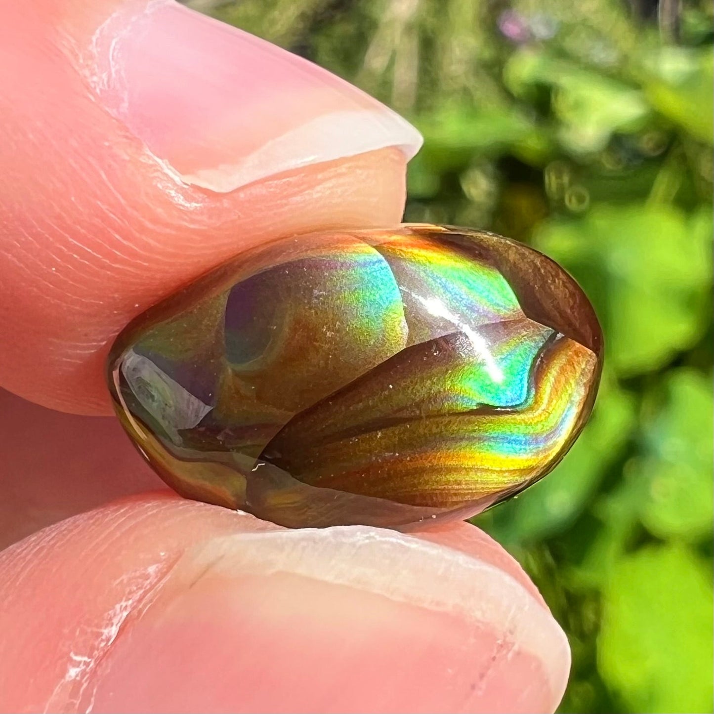 An oval cabochon cut Mexican fire agate stone.  The stone has bright, multicolored iridescent banding.