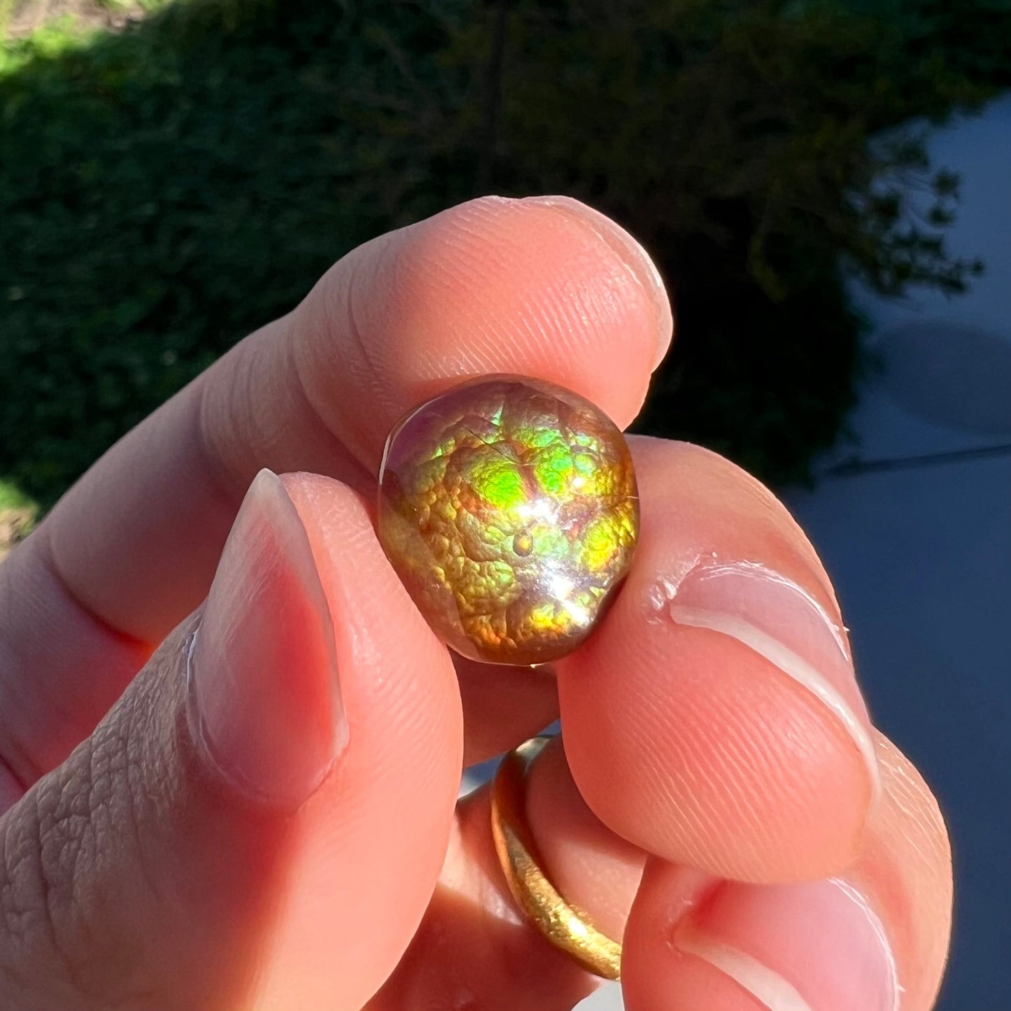 An iridescent green, yellow, and red Mexican fire agate stone. The stone is an off-round cabochon.