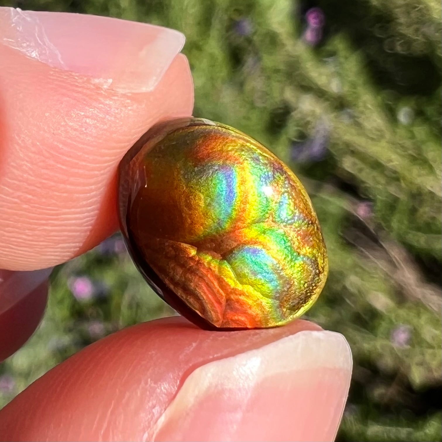 A loose, imperial grade Mexican fire agate gemstone.  The stone brightly glows every color in the sunlight.