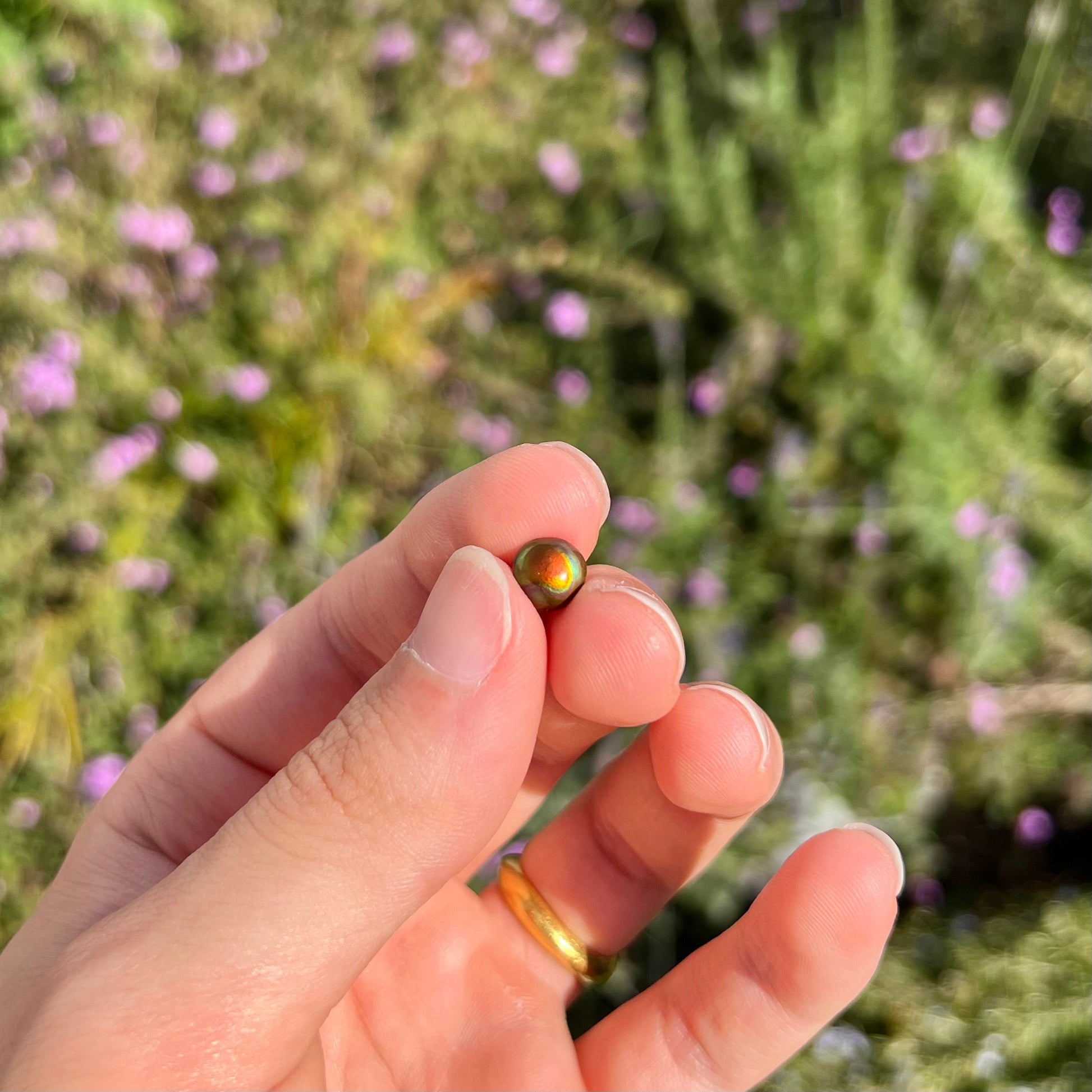 A 1.69ct round cabochon cut Mexican fire agate stone.  The stone is red with purple and green swirls.