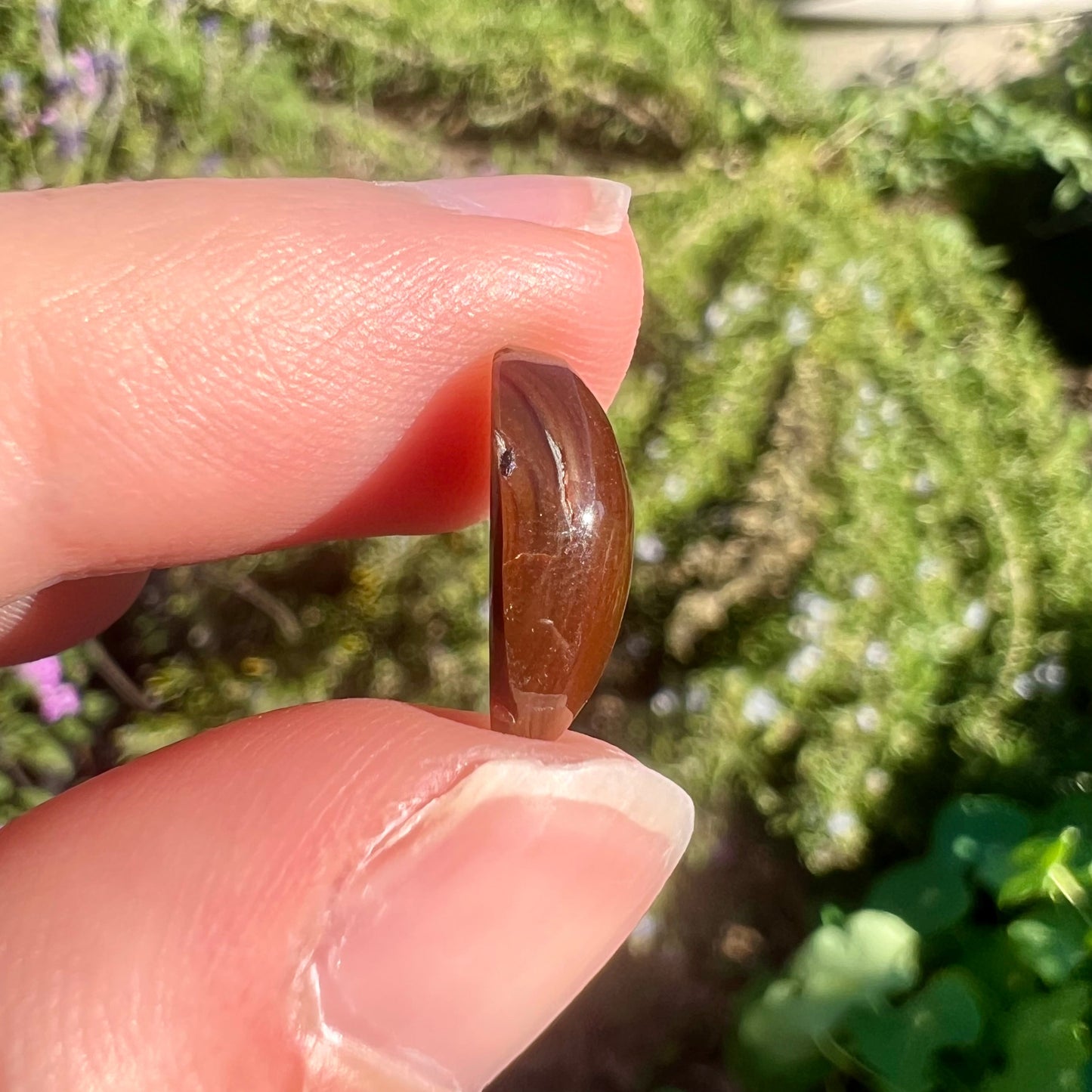A loose, oval cabochon cut fire agate stone that shines red, yellow, green, blue, and purple.