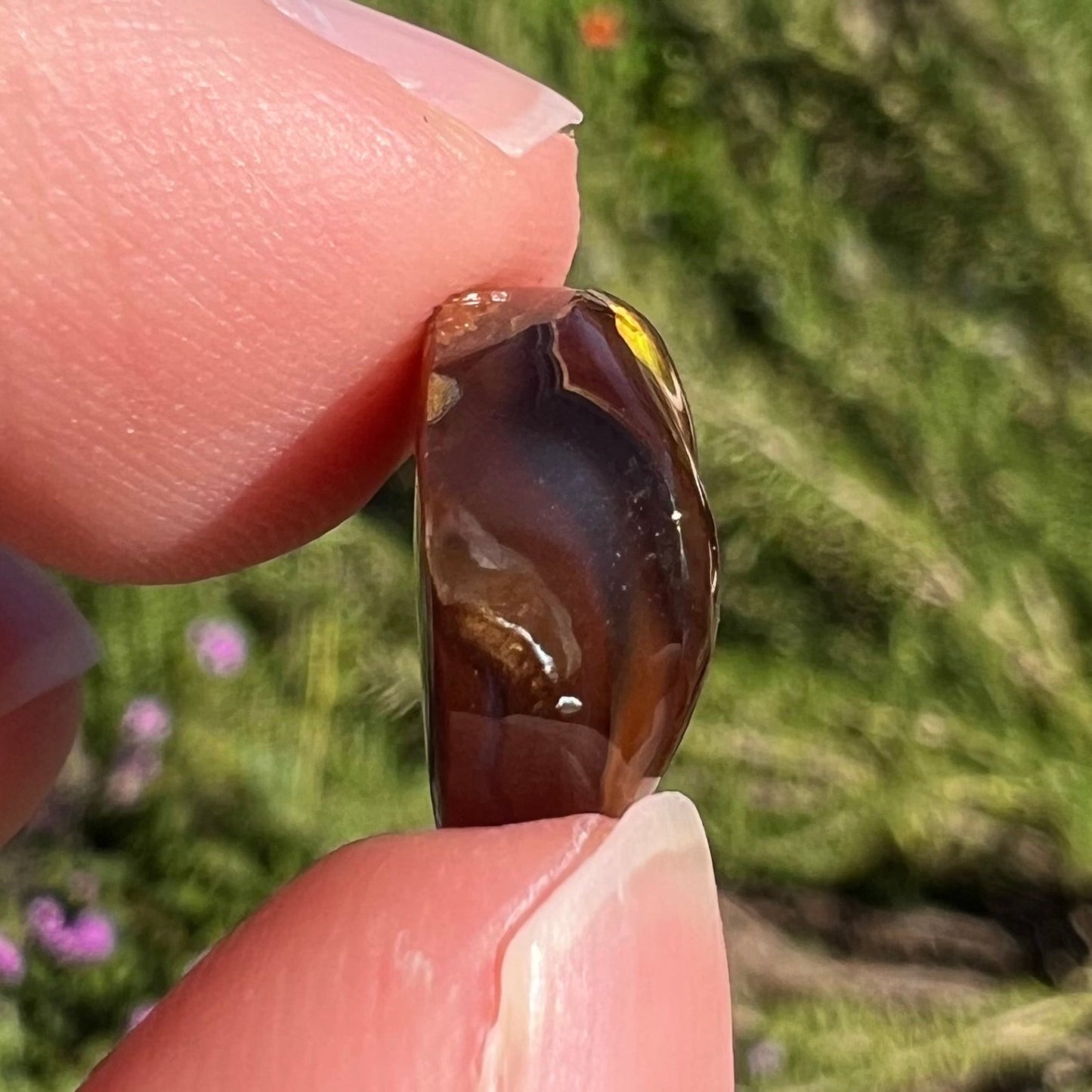 A loose, round cabochon cut fire agate stone. The gem is green with orange, red, blue, and a purple stripe.