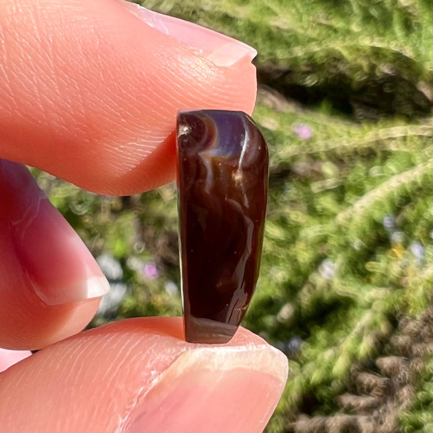 A cabochon cut heart shaped Mexican fire agate stone. The stone is orange, yellow, pink, green, and purple.