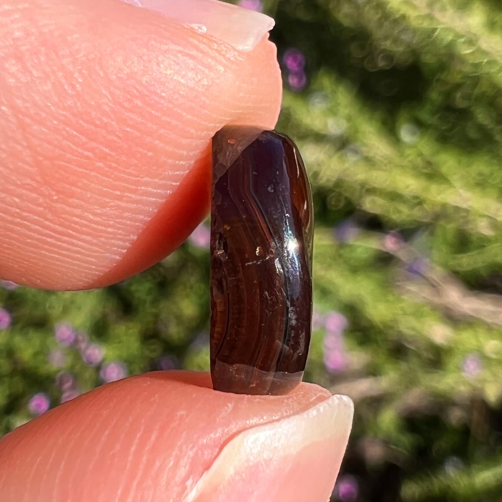 A loose, imperial grade Mexican fire agate gemstone.  The stone brightly glows every color in the sunlight.