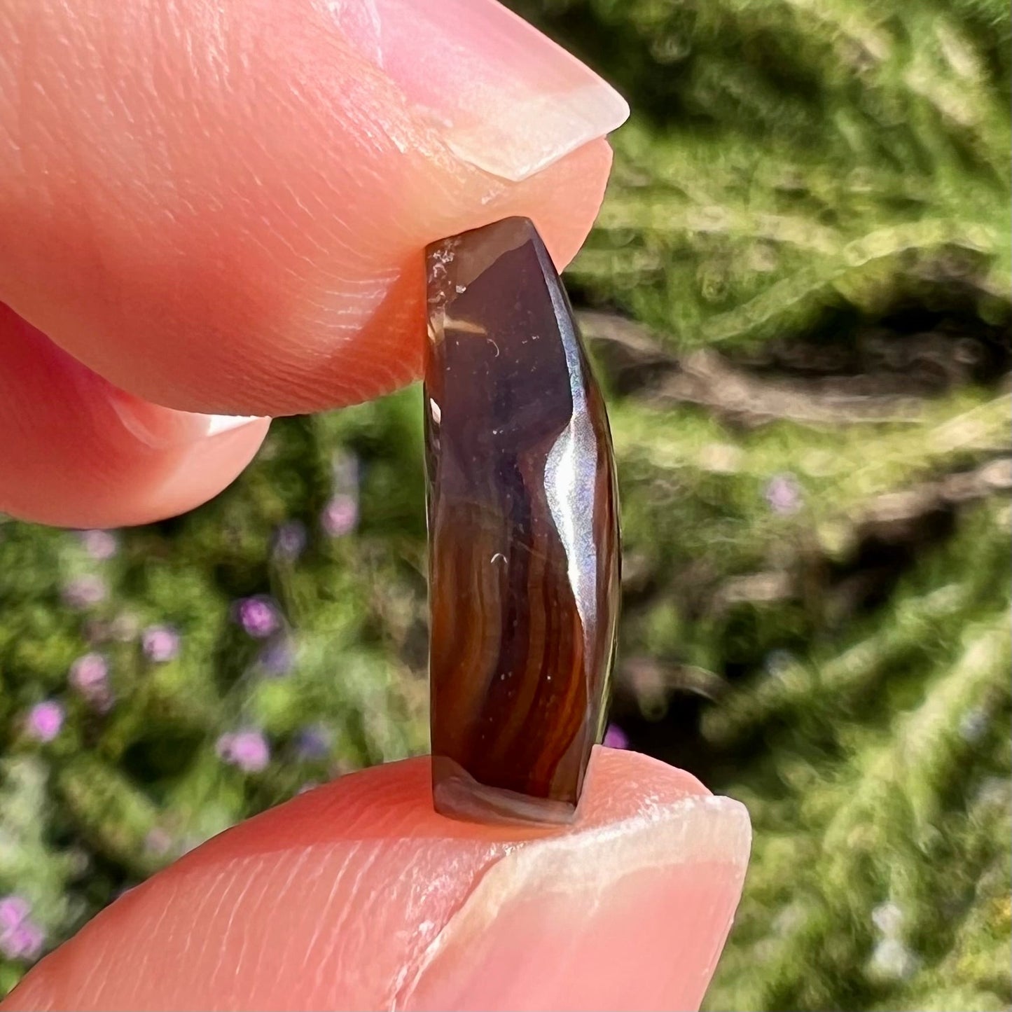 A loose, pear shaped Mexican fire agate gemstone. The stone is predominantly vivid red with green overtones.