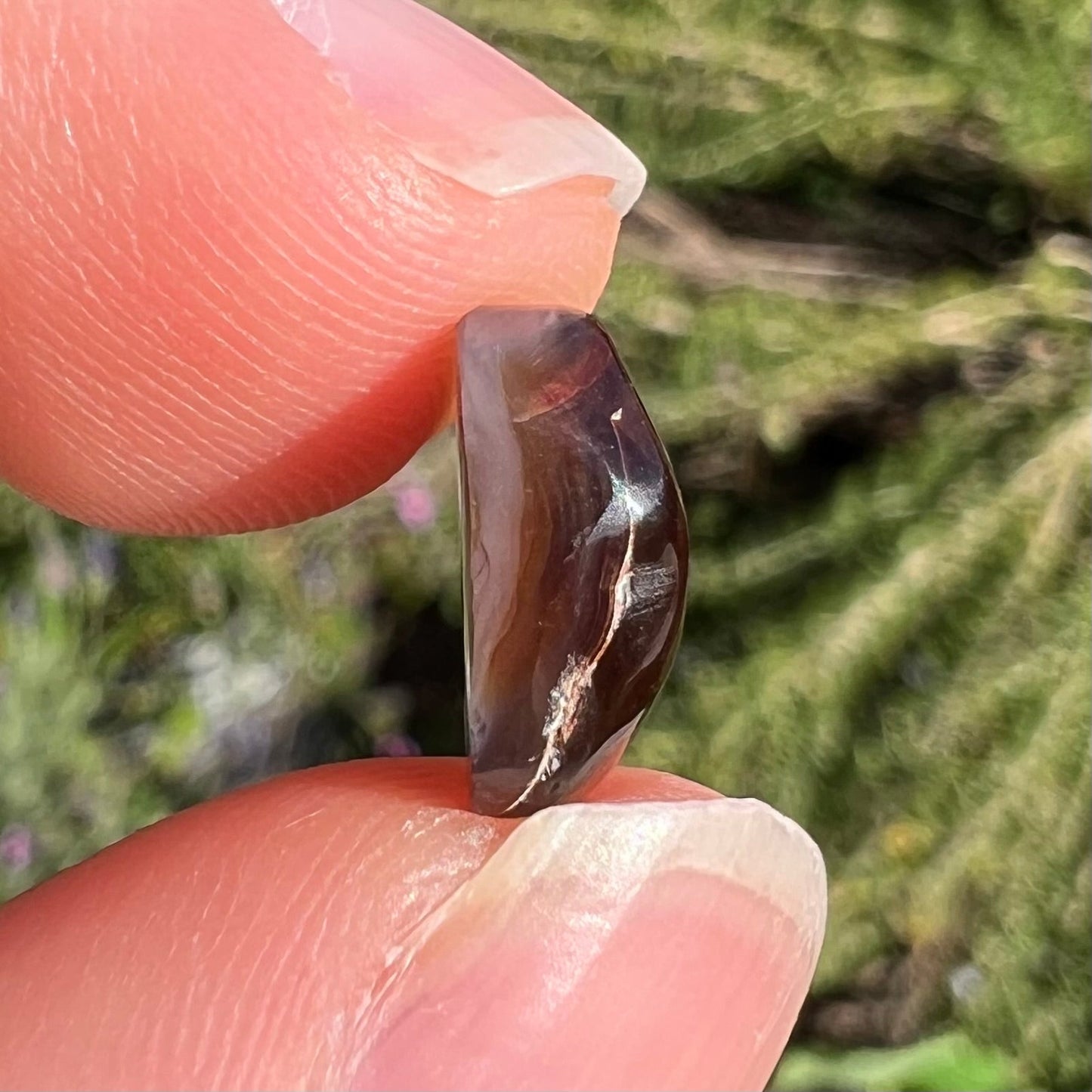 A freeform cabochon cut Mexican fire agate stone. The stone has a bright purple flash with green, yellow, and orange.