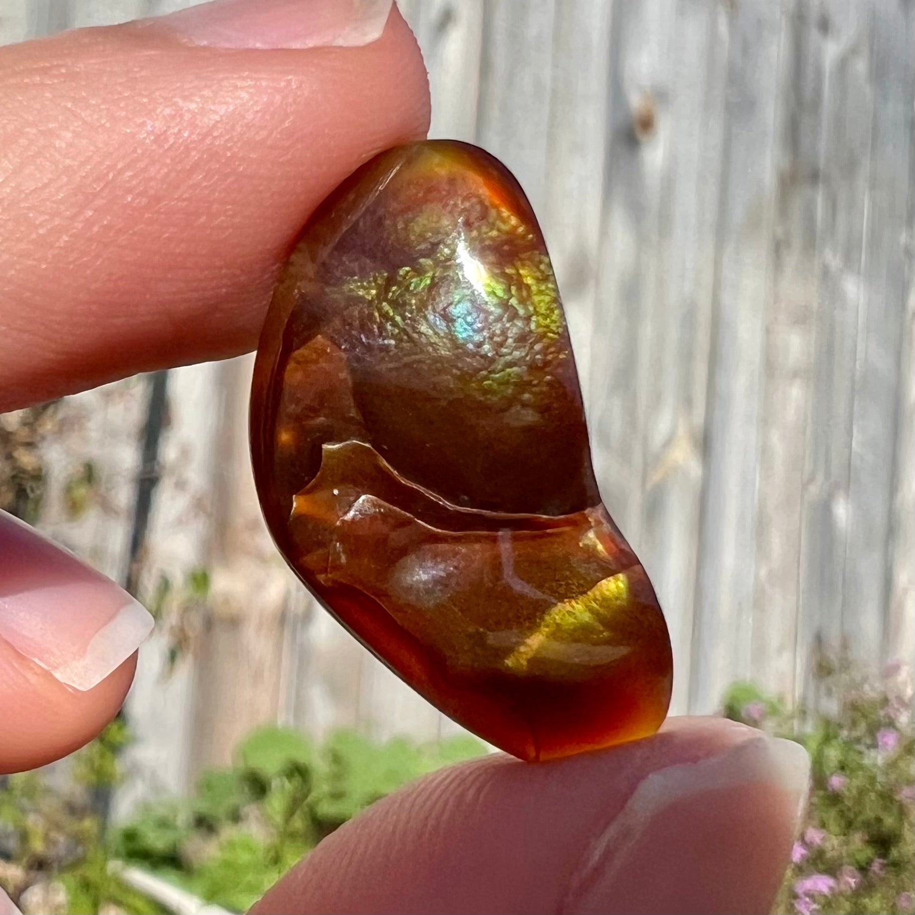 A loose, boomerang shaped fire agate cabochon.  The stone displays greens, purples, blues, and reds.