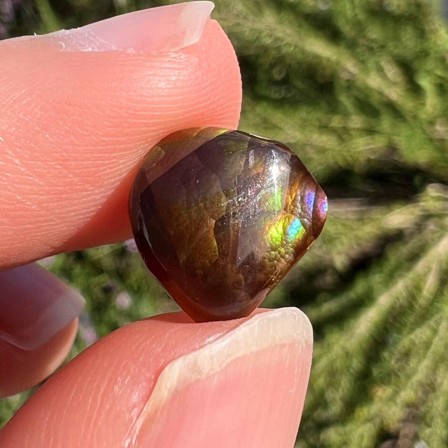 A freeform cabochon cut Mexican fire agate stone. The stone has a bright purple flash with green, yellow, and orange.