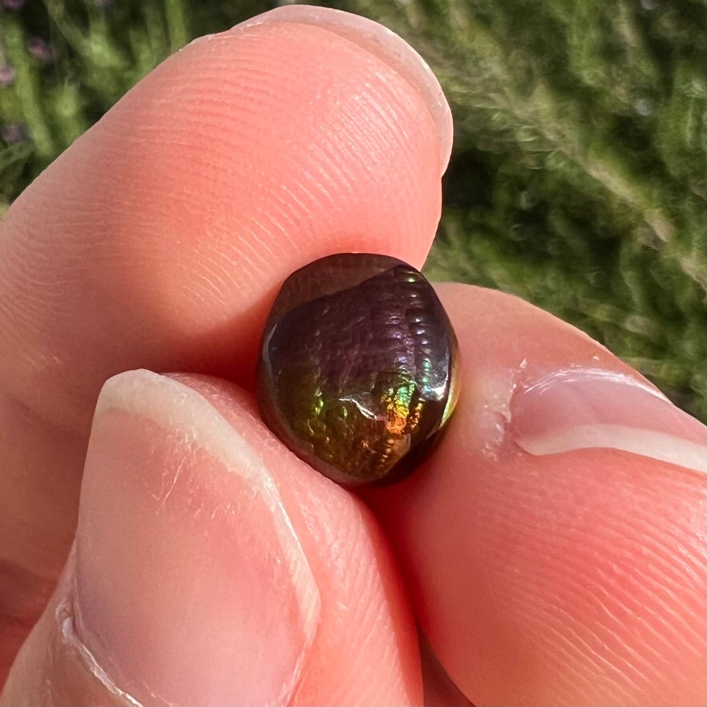 A loose, oval cabochon cut fire agate stone from Mexico. The stone has an iridescent purple and teal blue eye of color.
