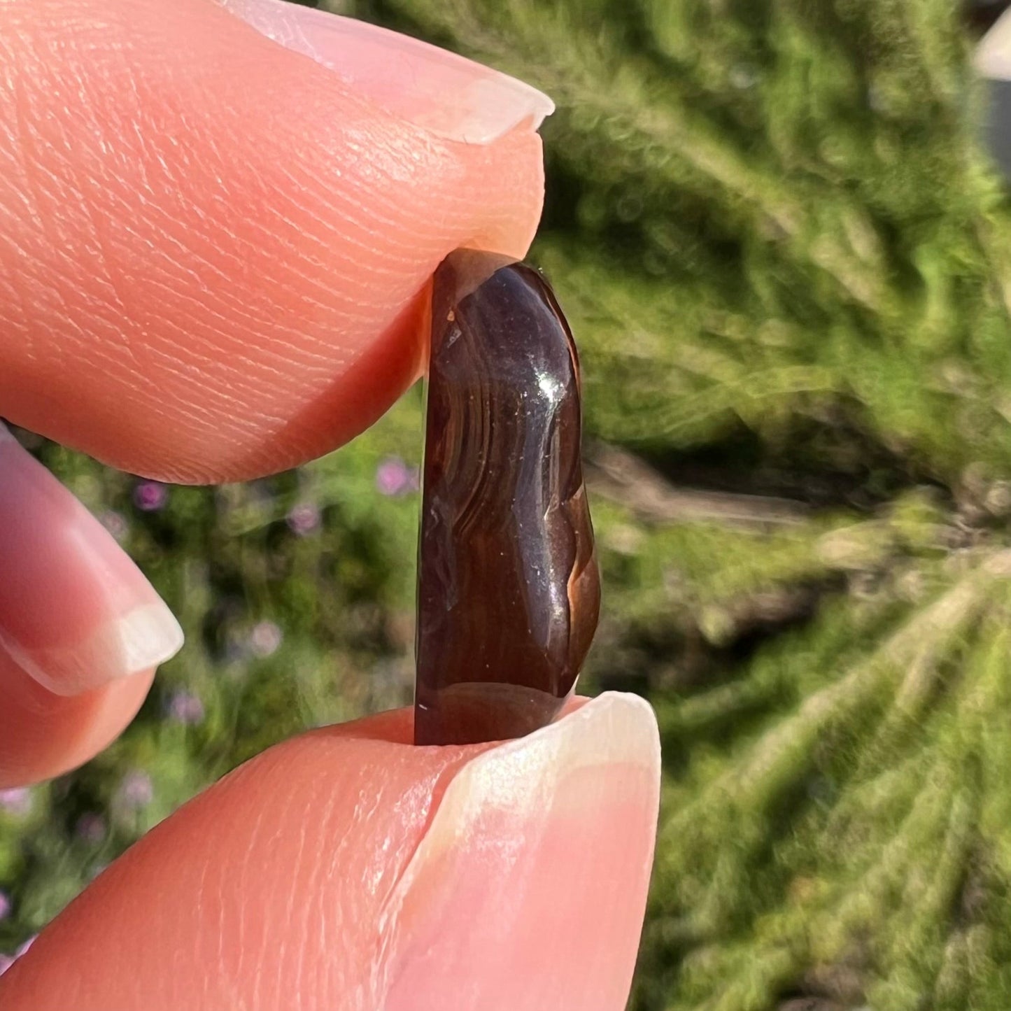 A loose, oval cabochon cut Mexican fire agate stone. The stone has multi-colored banding with blue overtones.