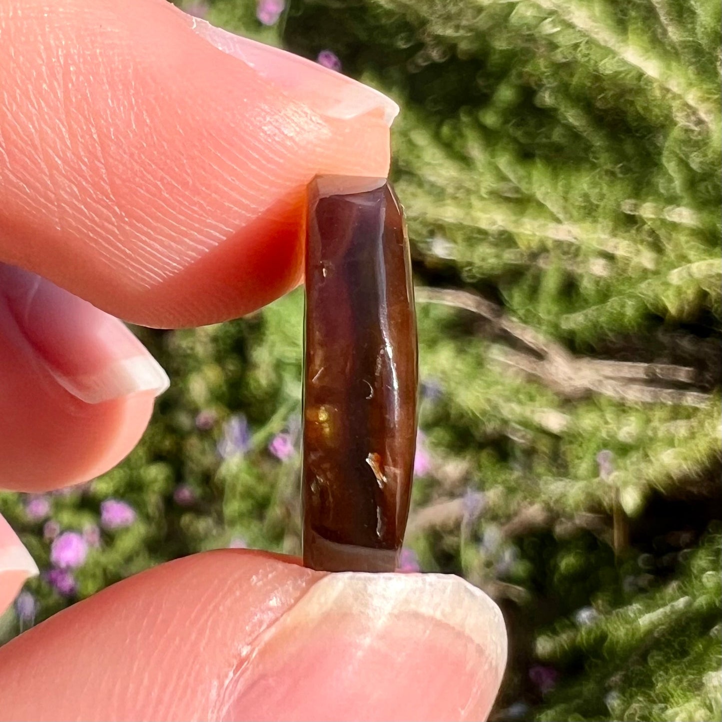 A loose, oval cabochon cut Mexican fire agate stone with pink, orange, and purple banding.