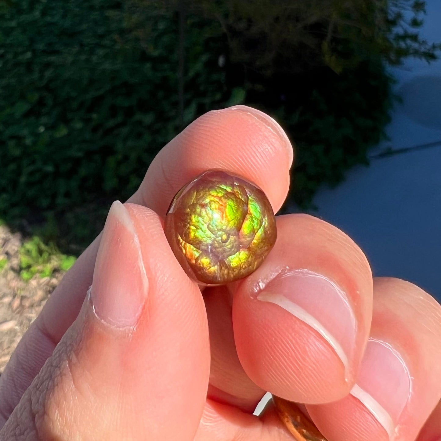 An iridescent green, yellow, and red Mexican fire agate stone. The stone is an off-round cabochon.