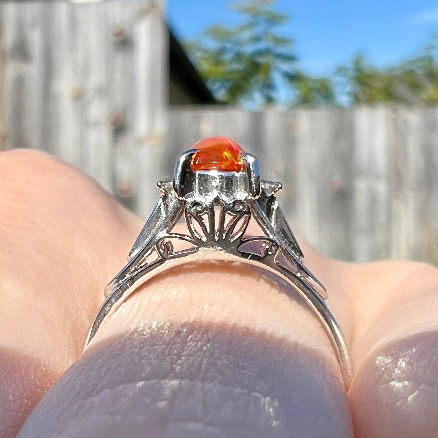 A filigree opal ring in platinum, glowing in the sunlight with vivid color play.
