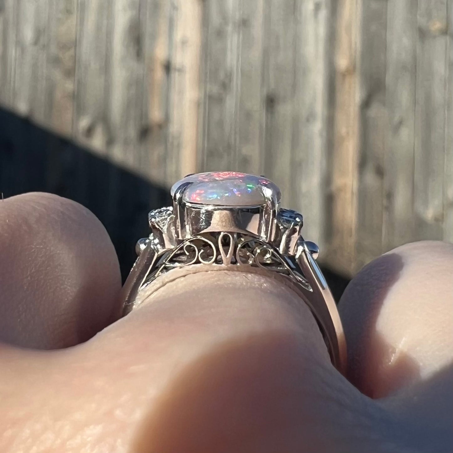 The gallery view of filigree scrolling on a platinum opal ring worn on a hand in the sunlight.