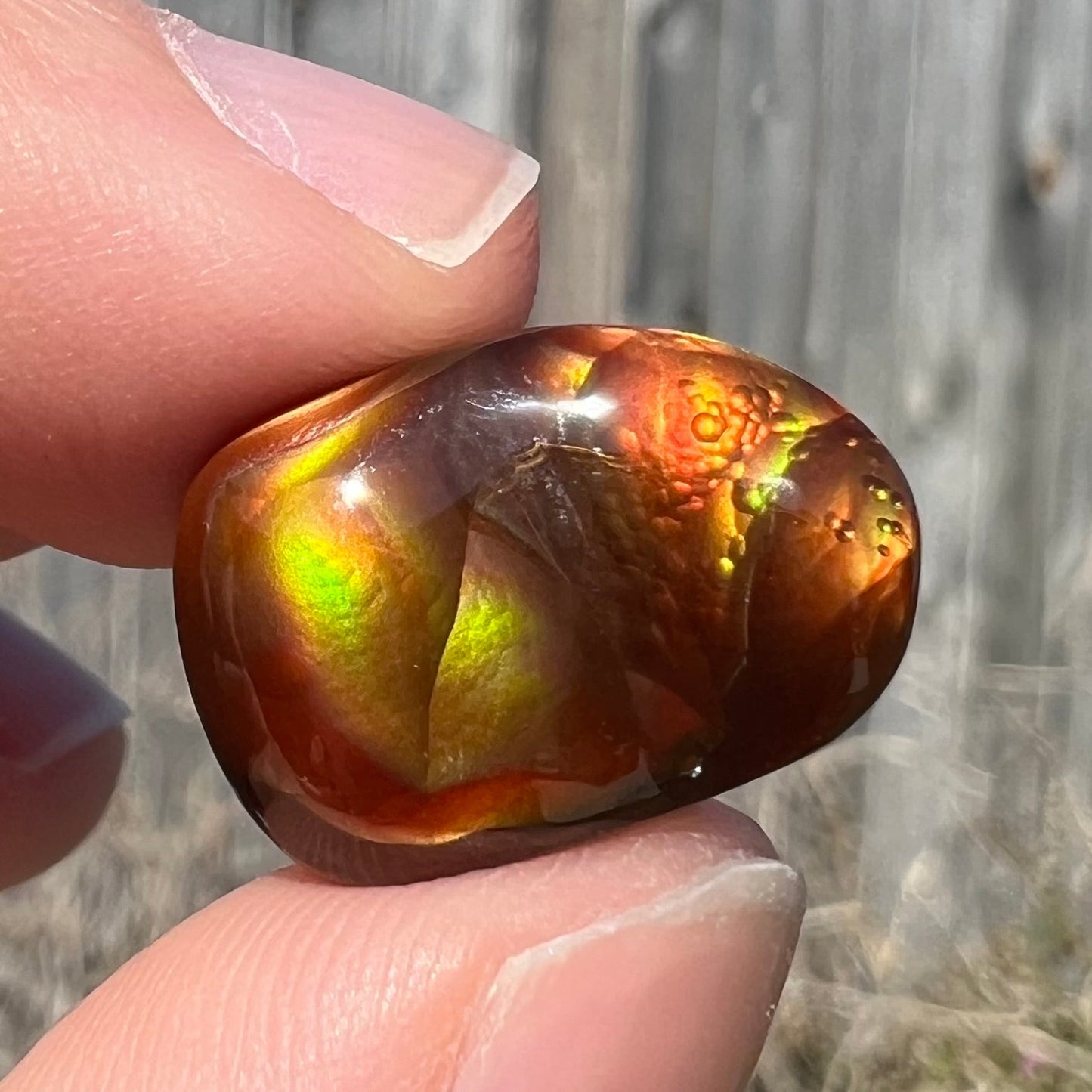 A loose fire agate cabochon. The stne shows green and orange iridescence on a brown body tone.