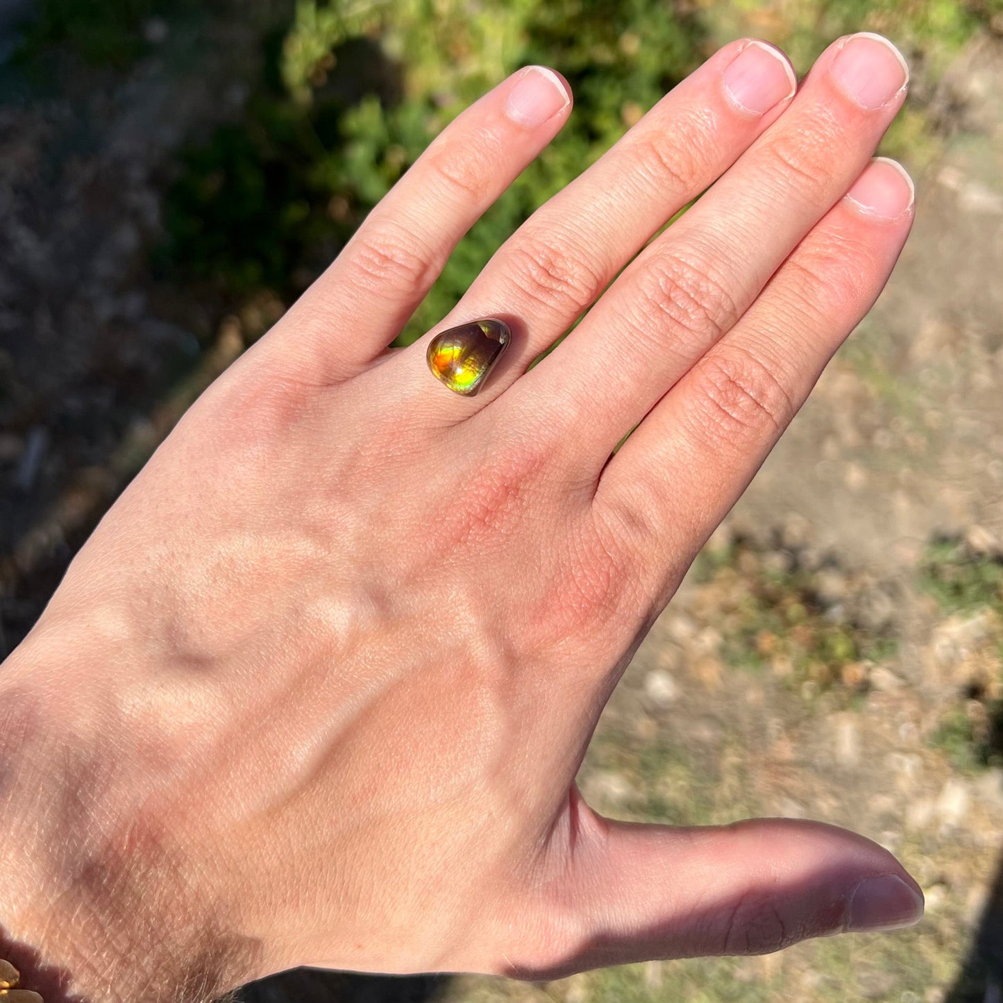 A freeform shaped fire agate cabochon with green and red iridescence.