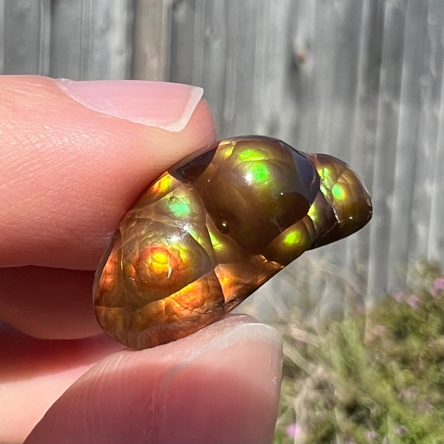 A loose, freeform shaped Mexican fire agate stone. Its shape resembles a fish swimming.