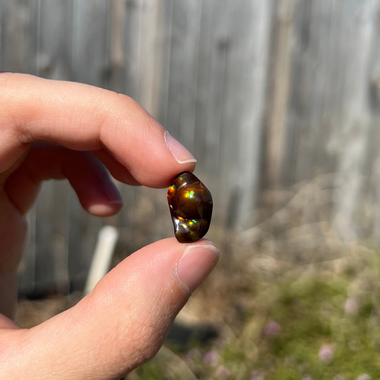 A loose fire agate stone. The stone has a rainbow of metallic iridescence.