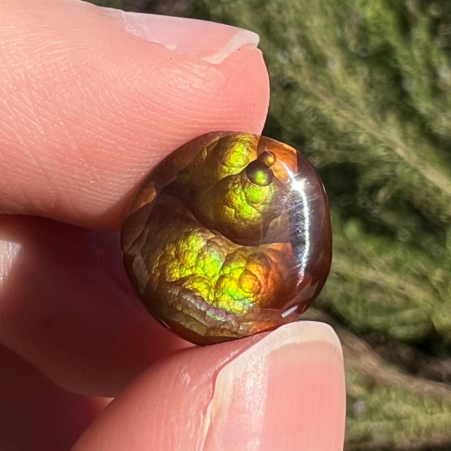 A loose, round cabochon cut fire agate stone. The gem is green with orange, red, blue, and a purple stripe.