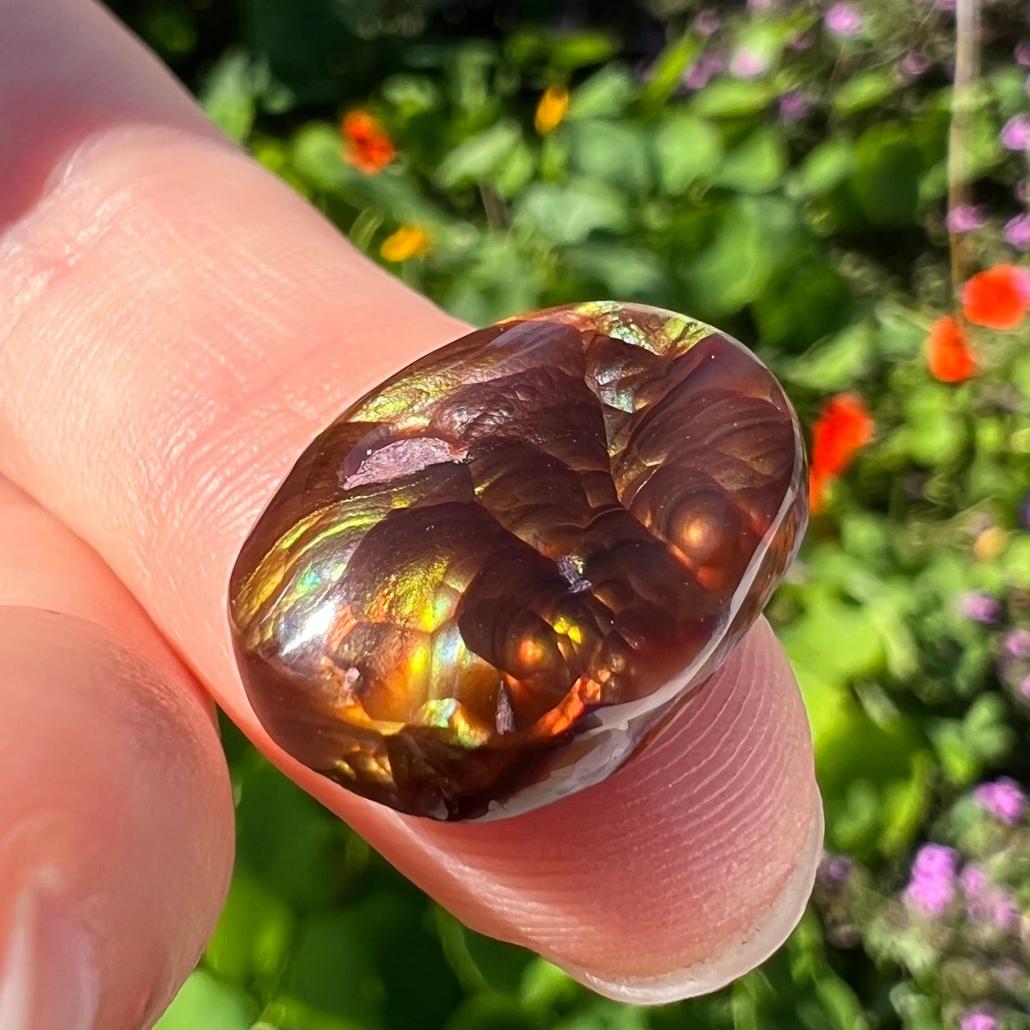 An oval cabochon cut Mexican fire agate stone. The stone's predominant colors are green, yellow, orange, and blue.