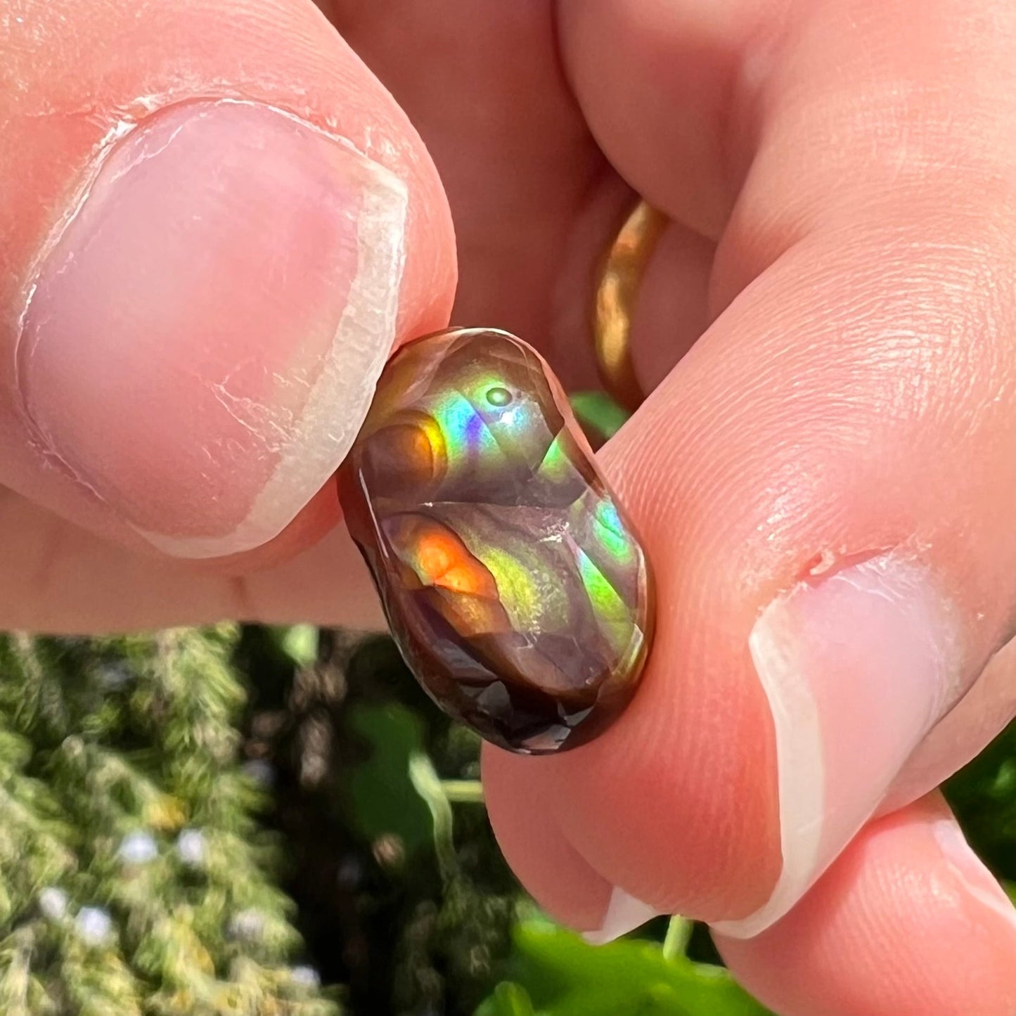 A loose, oval cabochon cut Mexican fire agate stone. The stone has multi-colored banding with blue overtones.
