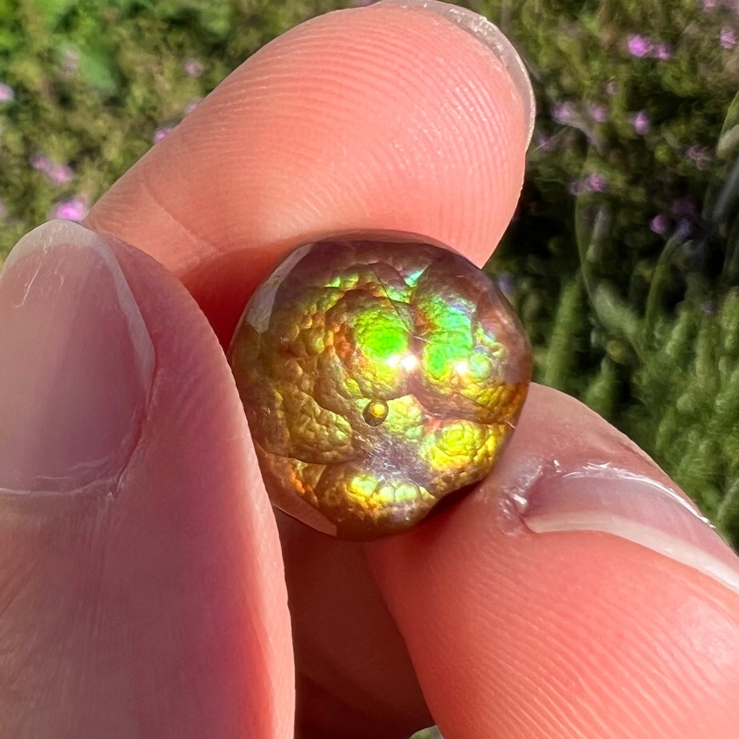 An iridescent green, yellow, and red Mexican fire agate stone. The stone is an off-round cabochon.