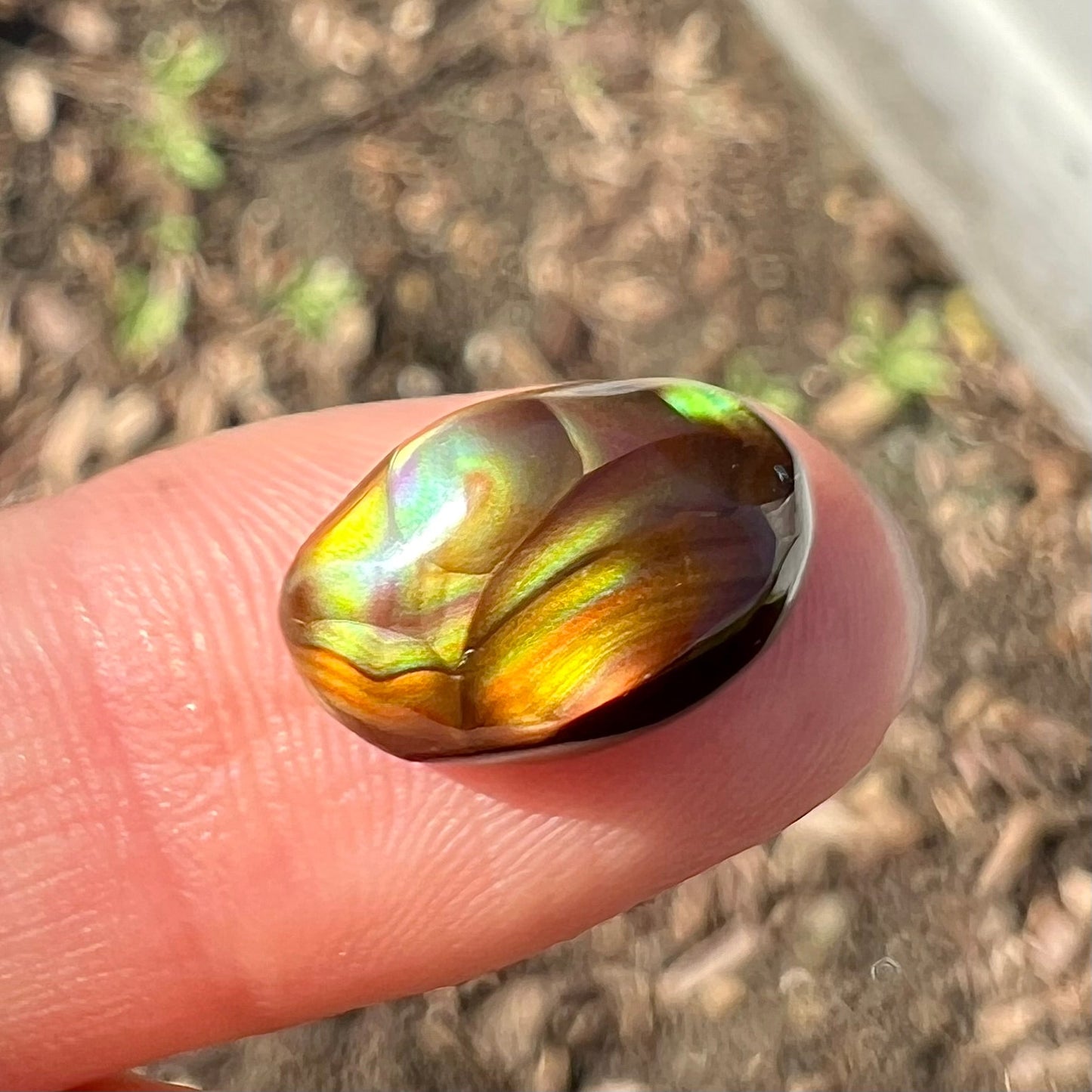 An oval cabochon cut Mexican fire agate stone.  The stone has bright, multicolored iridescent banding.