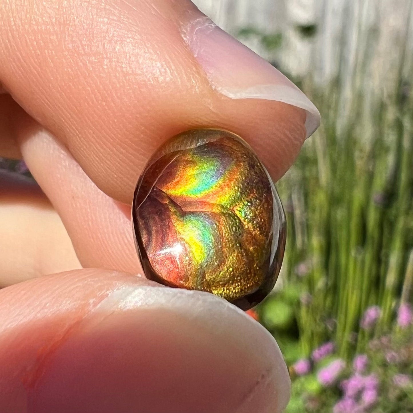 A loose, oval cabochon cut Mexican fire agate stone. The gem is iridescent with every color of the rainbow.