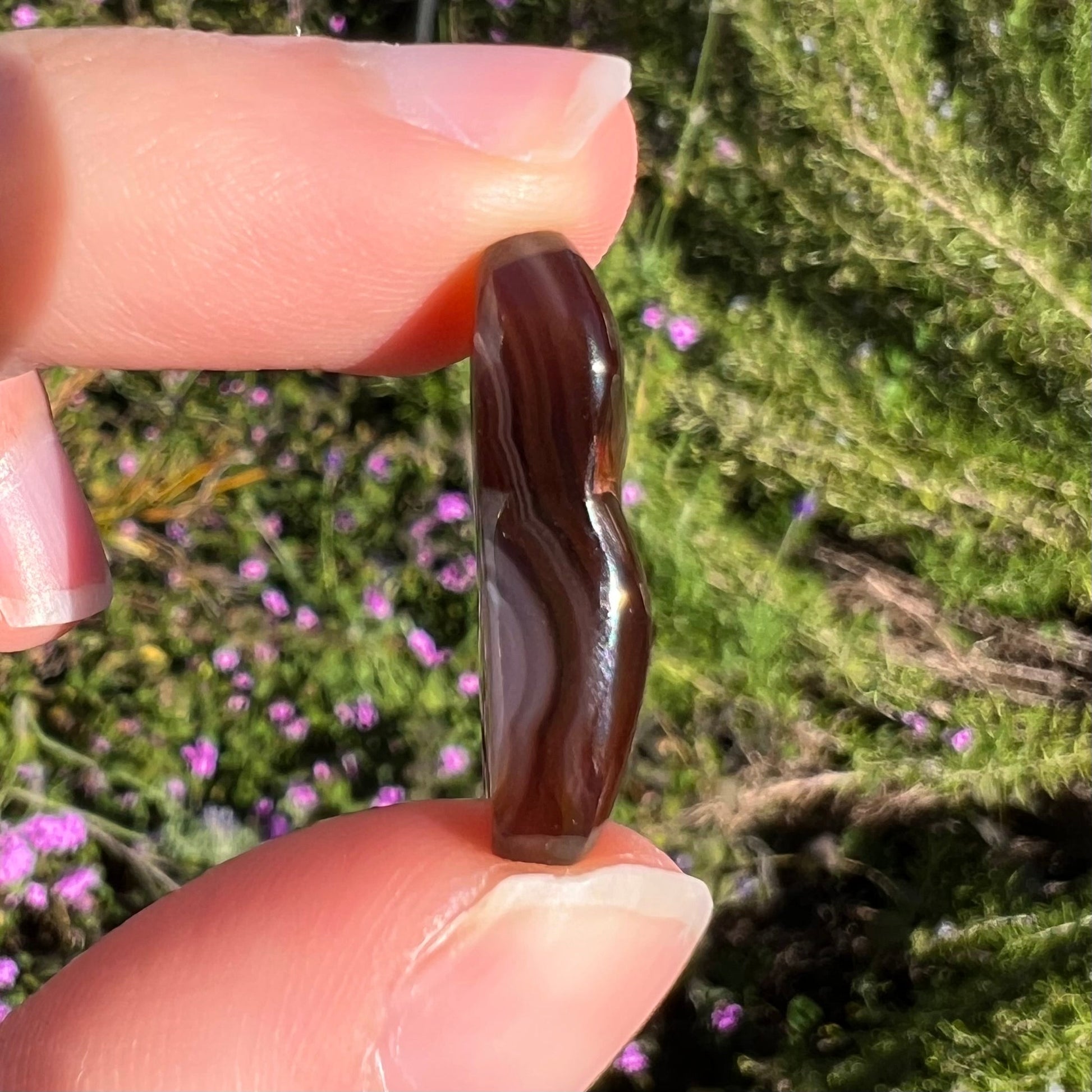 A loose, boomerang shaped fire agate cabochon.  The stone displays greens, purples, blues, and reds.