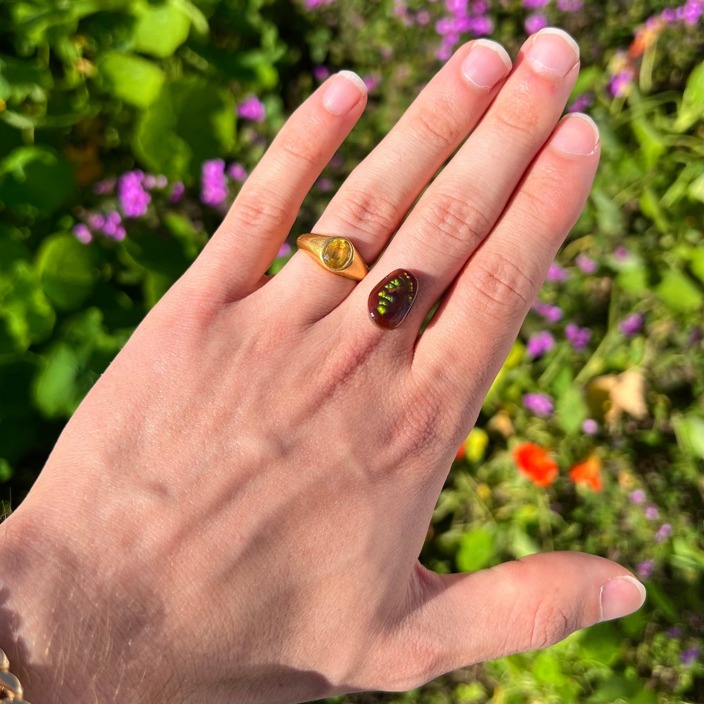 A loose, cabochon cut Mexican fire agate stone. The stone's colors are predominantly bright green and blue.