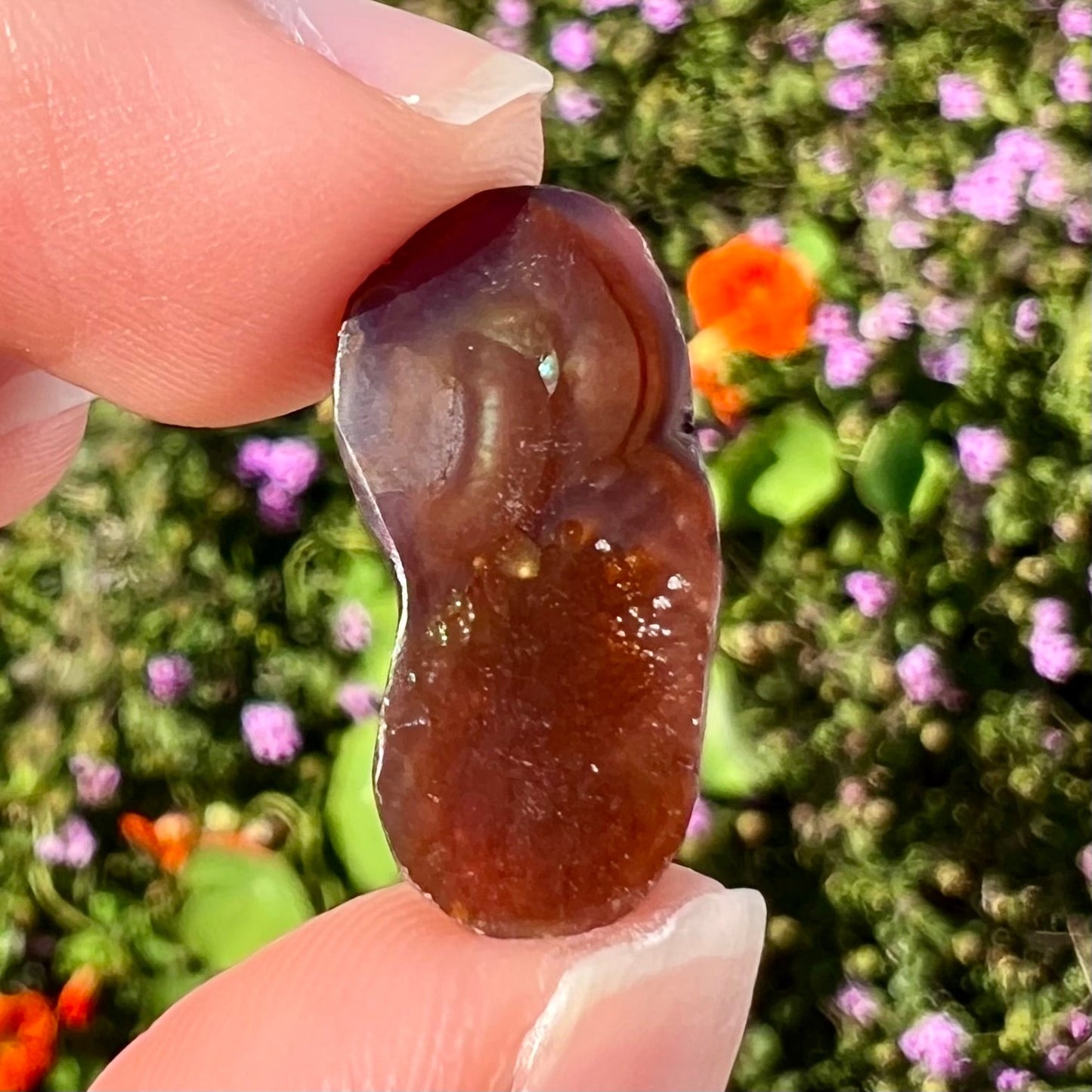 A loose, cabochon cut fire agate gemstone. The stone resembles a foot with a green heel and yellow toes.