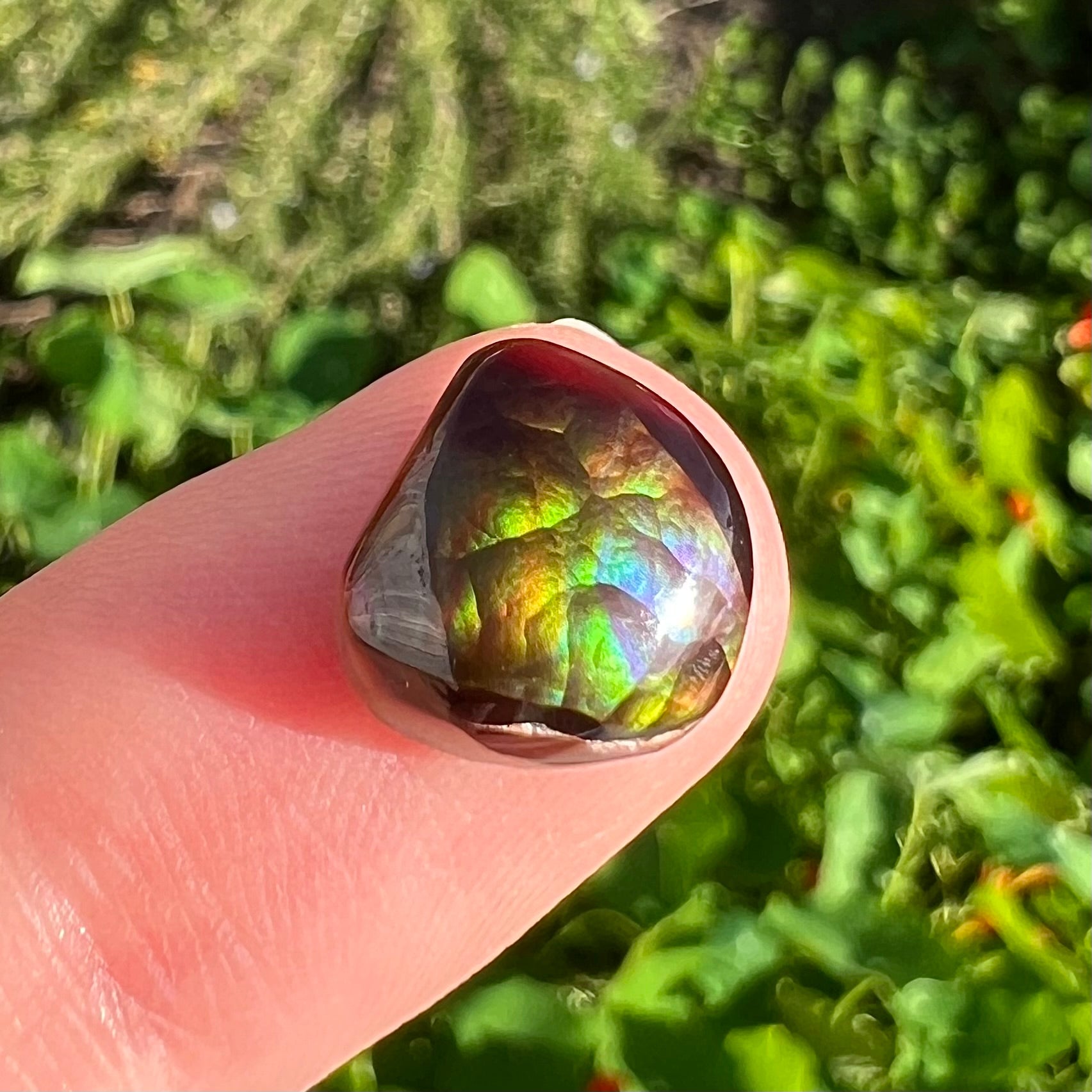 A freeform cabochon cut Mexican fire agate stone.  The stone has a bright purple flash with green, yellow, and orange.