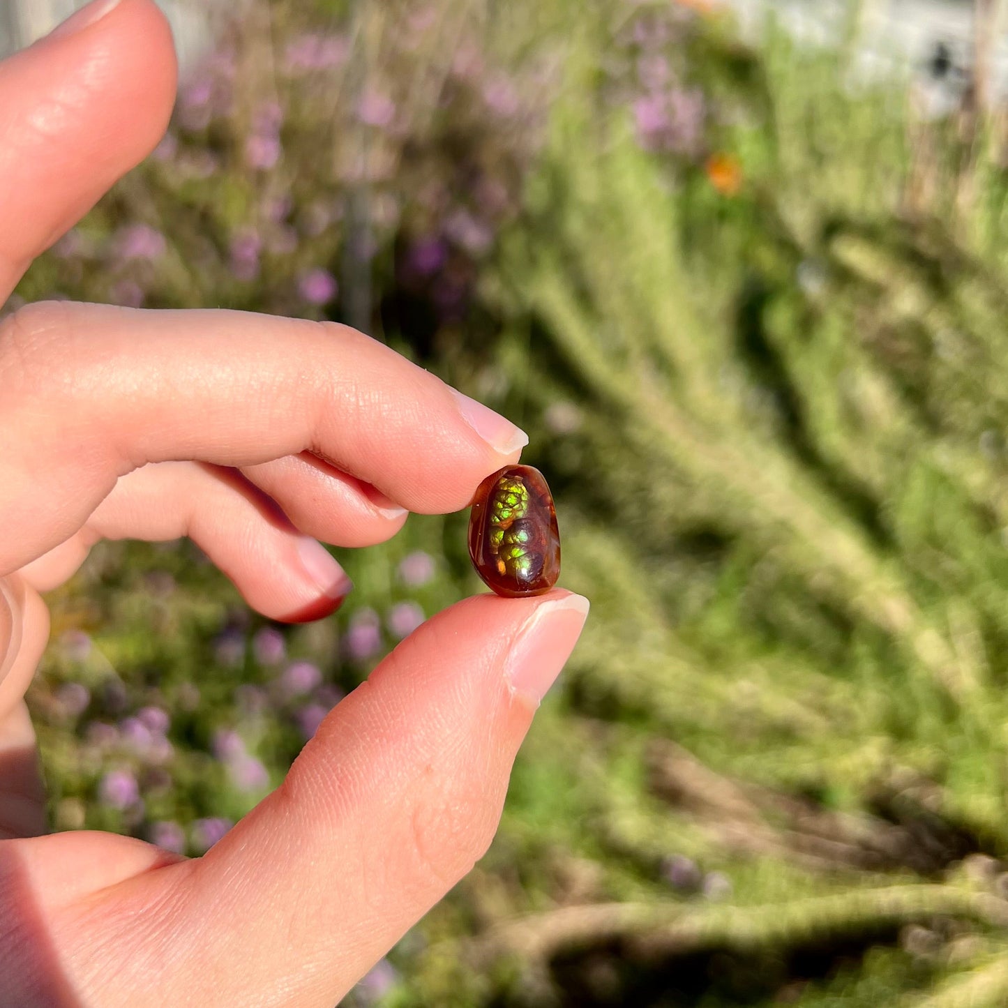 A loose, freeform cabochon cut fire agate gemstone. The stone is green with blue overtones.